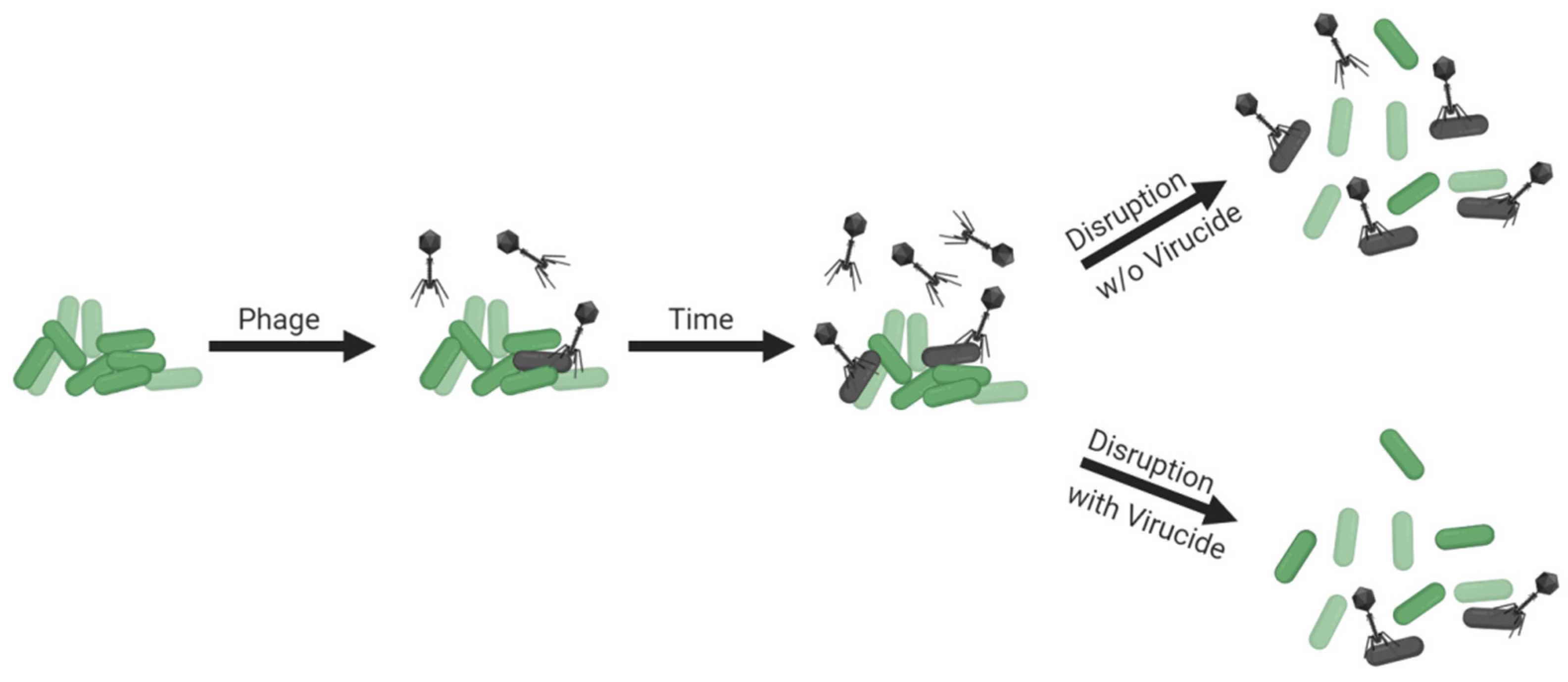 Viruses 13 01175 g006