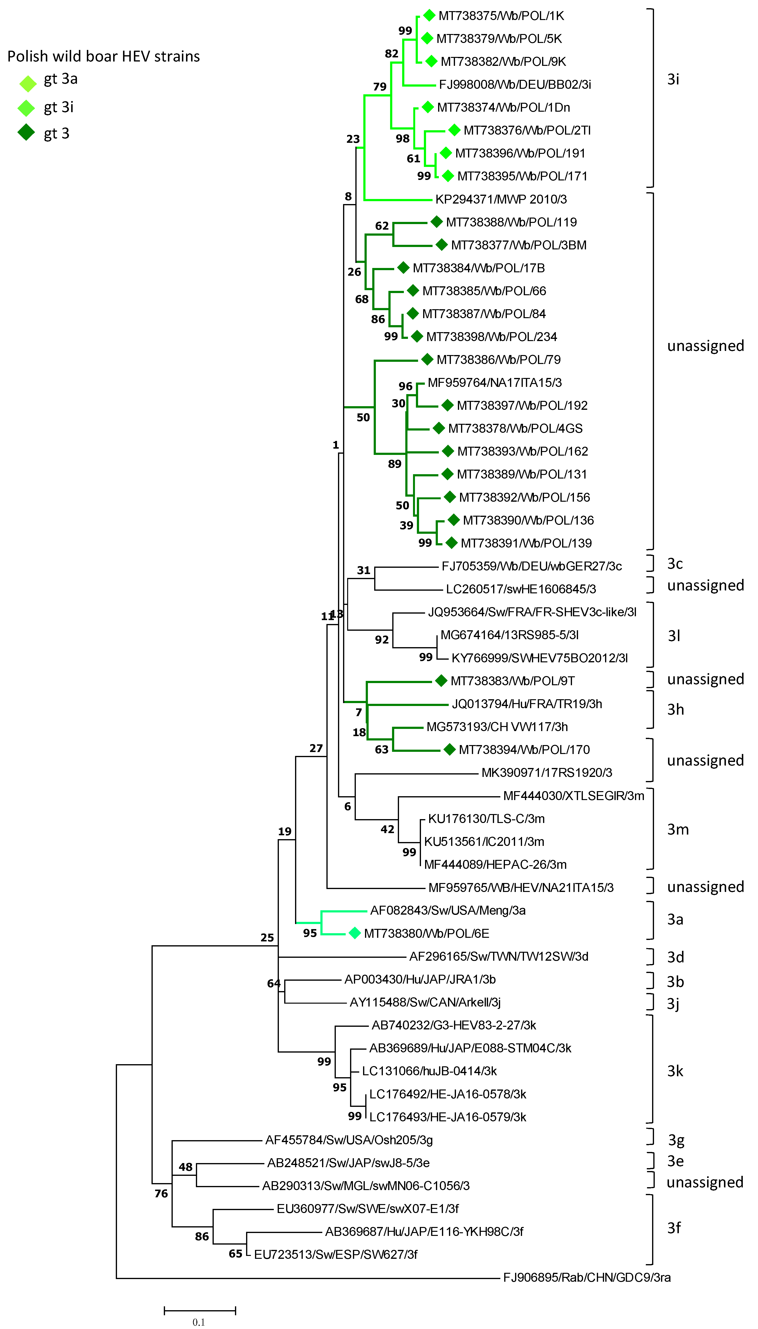 Viruses 13 01176 g001
