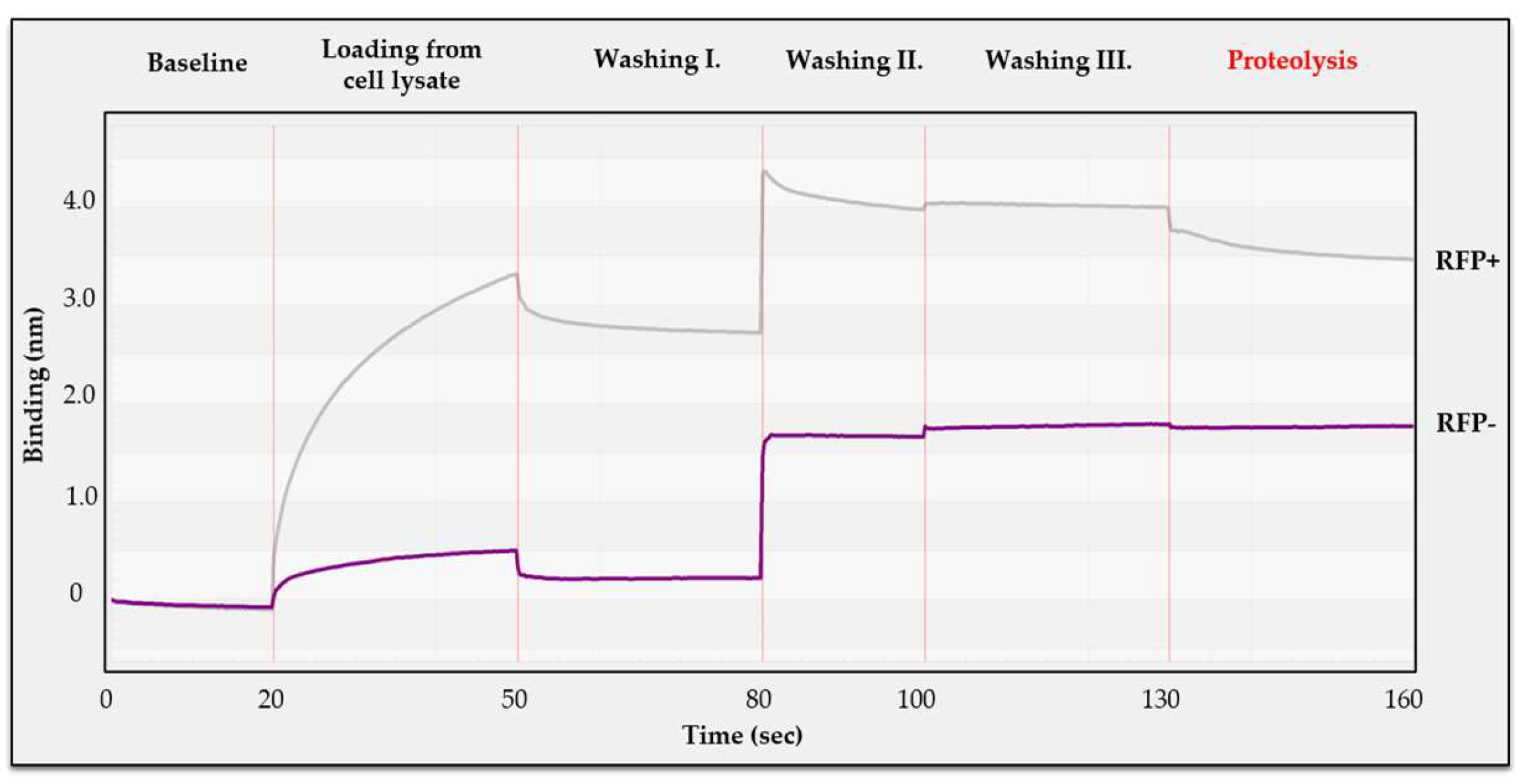 Viruses 13 01183 g009