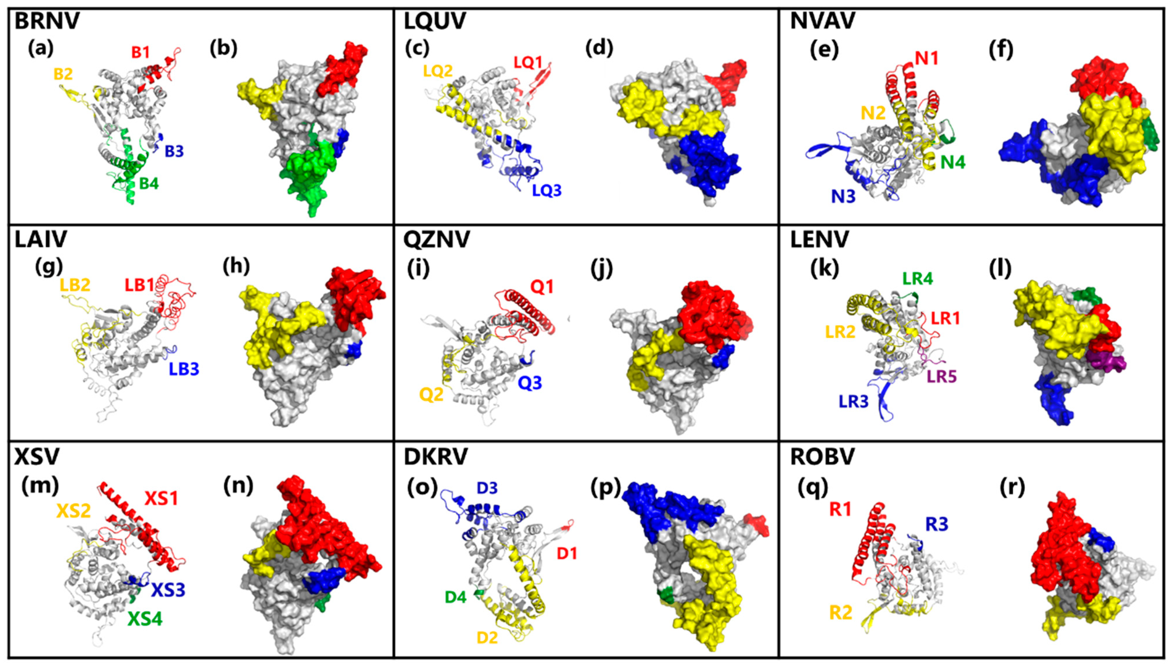 Viruses 13 01188 g003