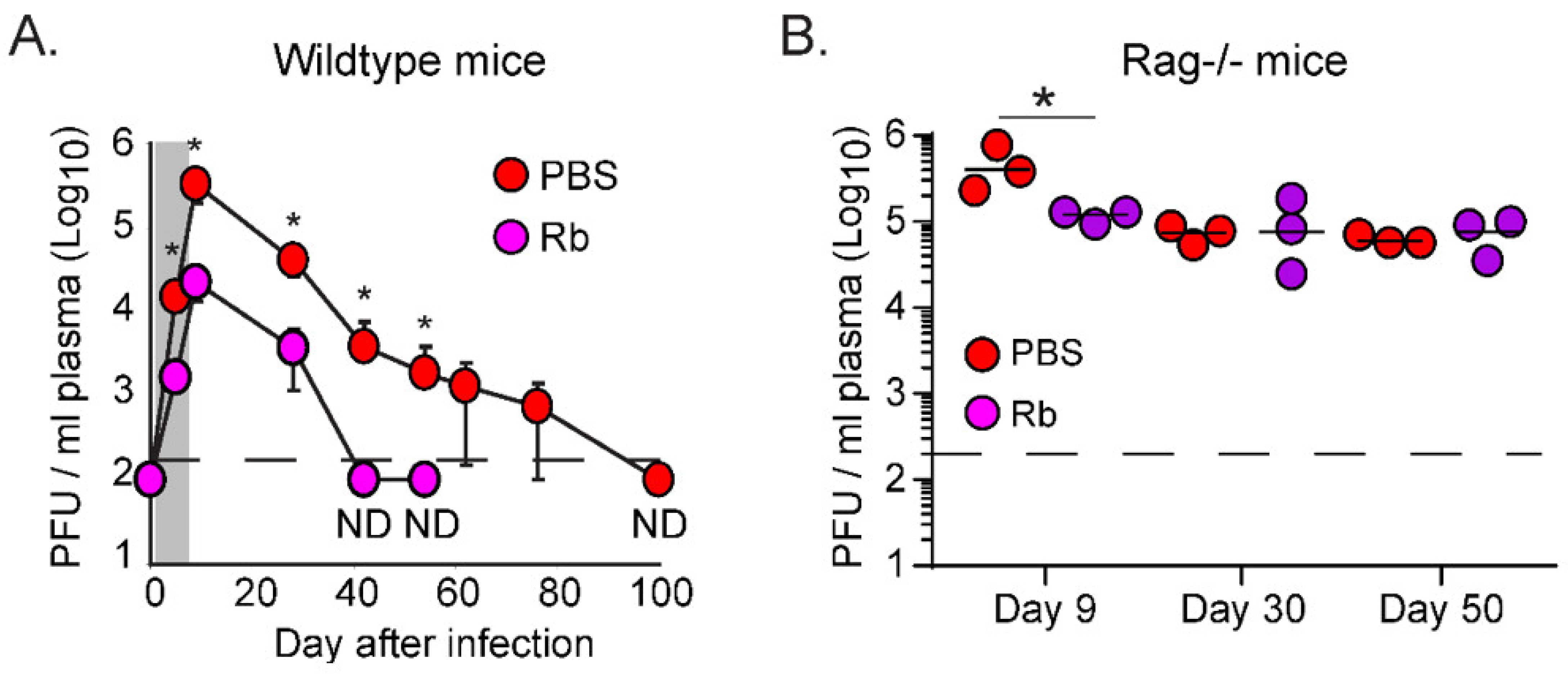 Viruses 13 01189 g001