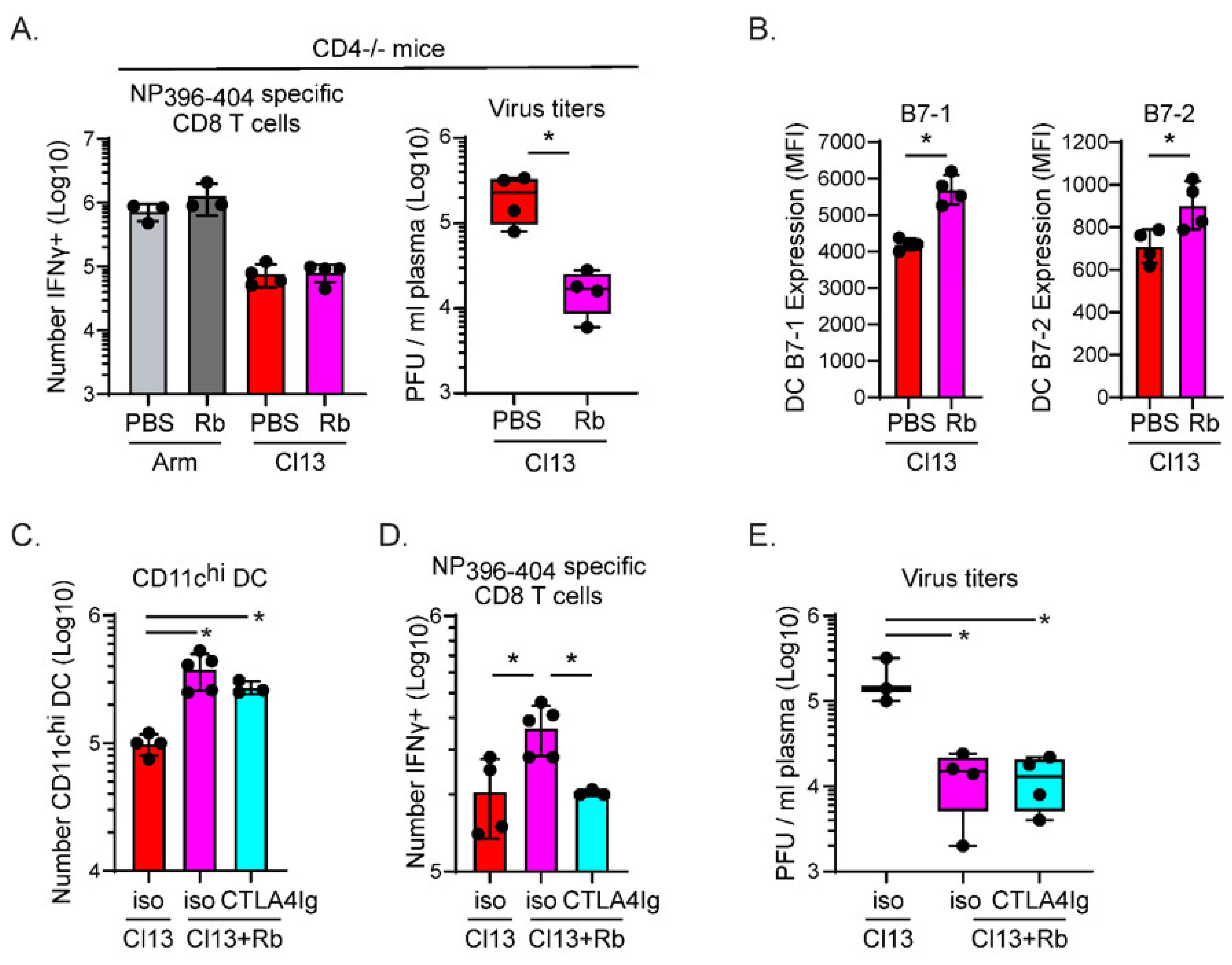 Viruses 13 01189 g003