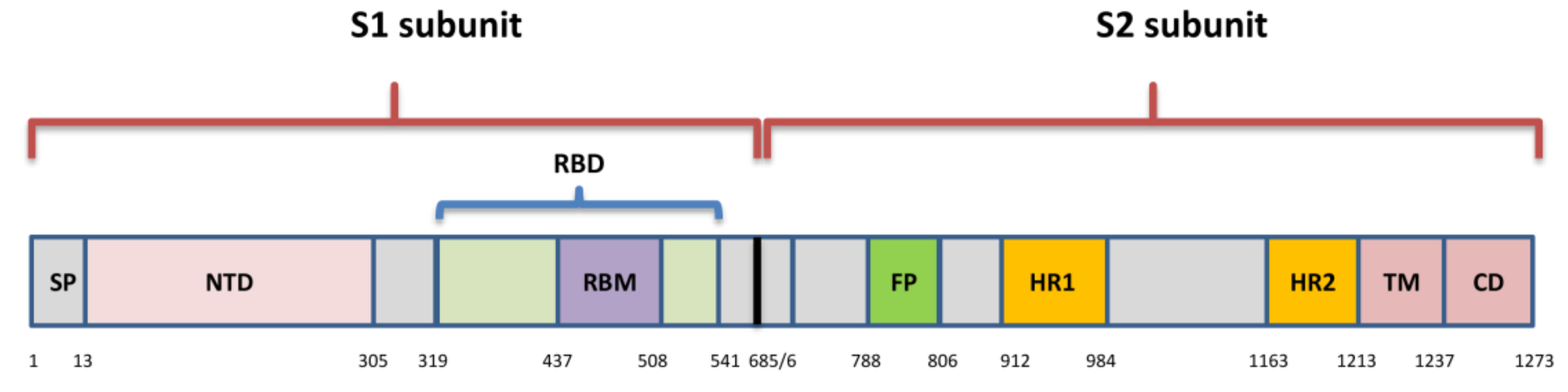 Viruses 13 01192 g002