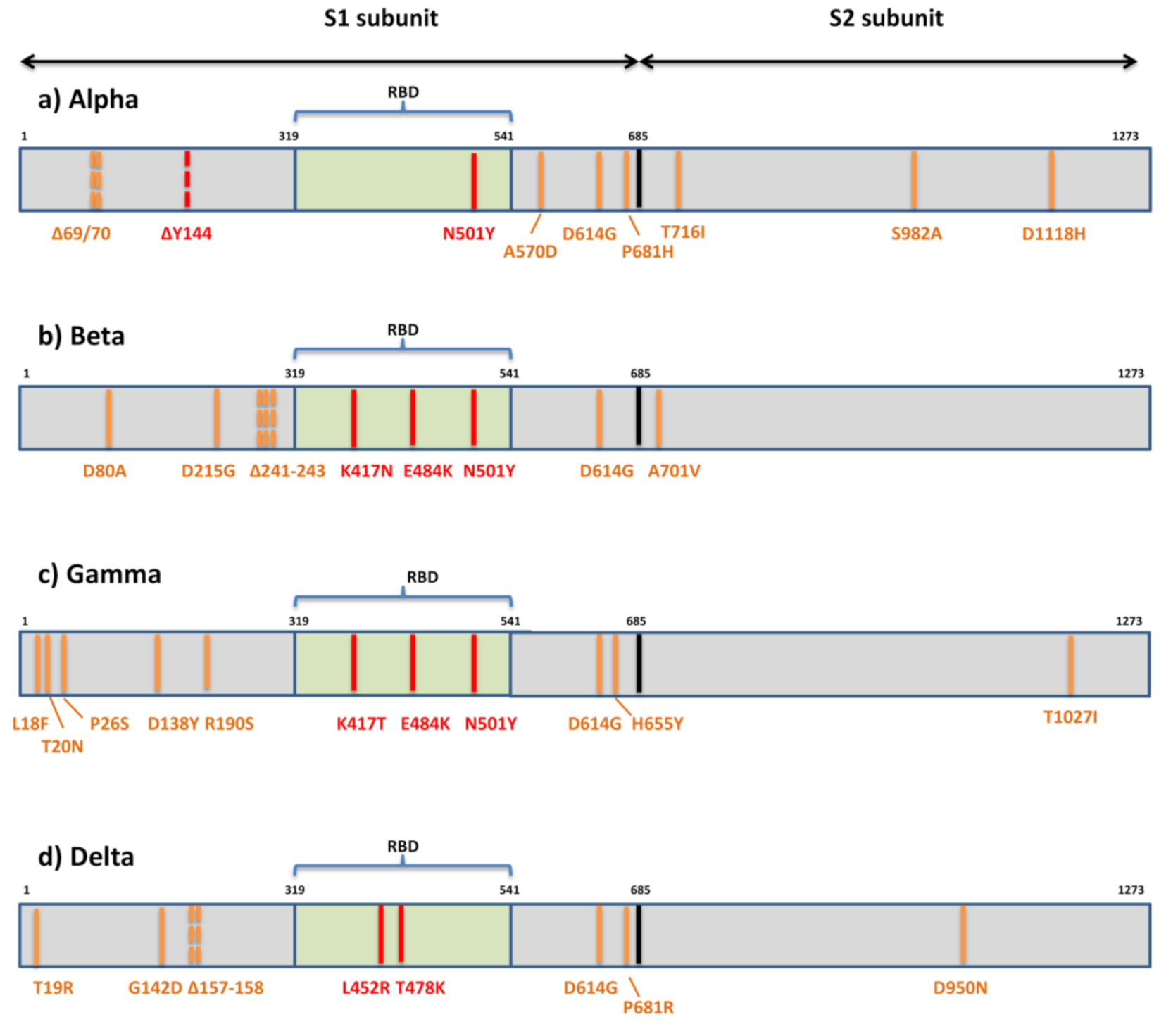 Viruses 13 01192 g003