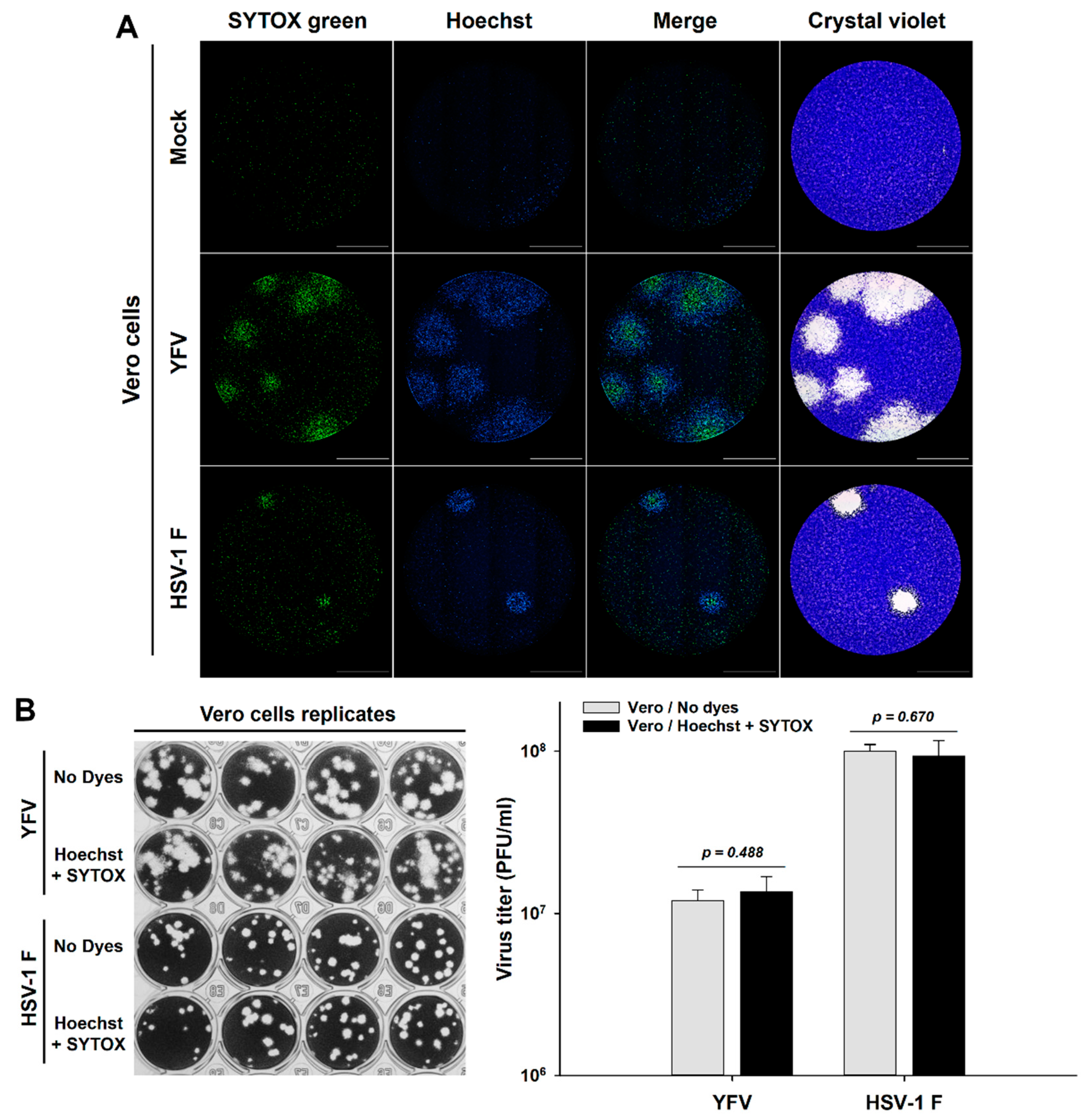 Viruses 13 01193 g002