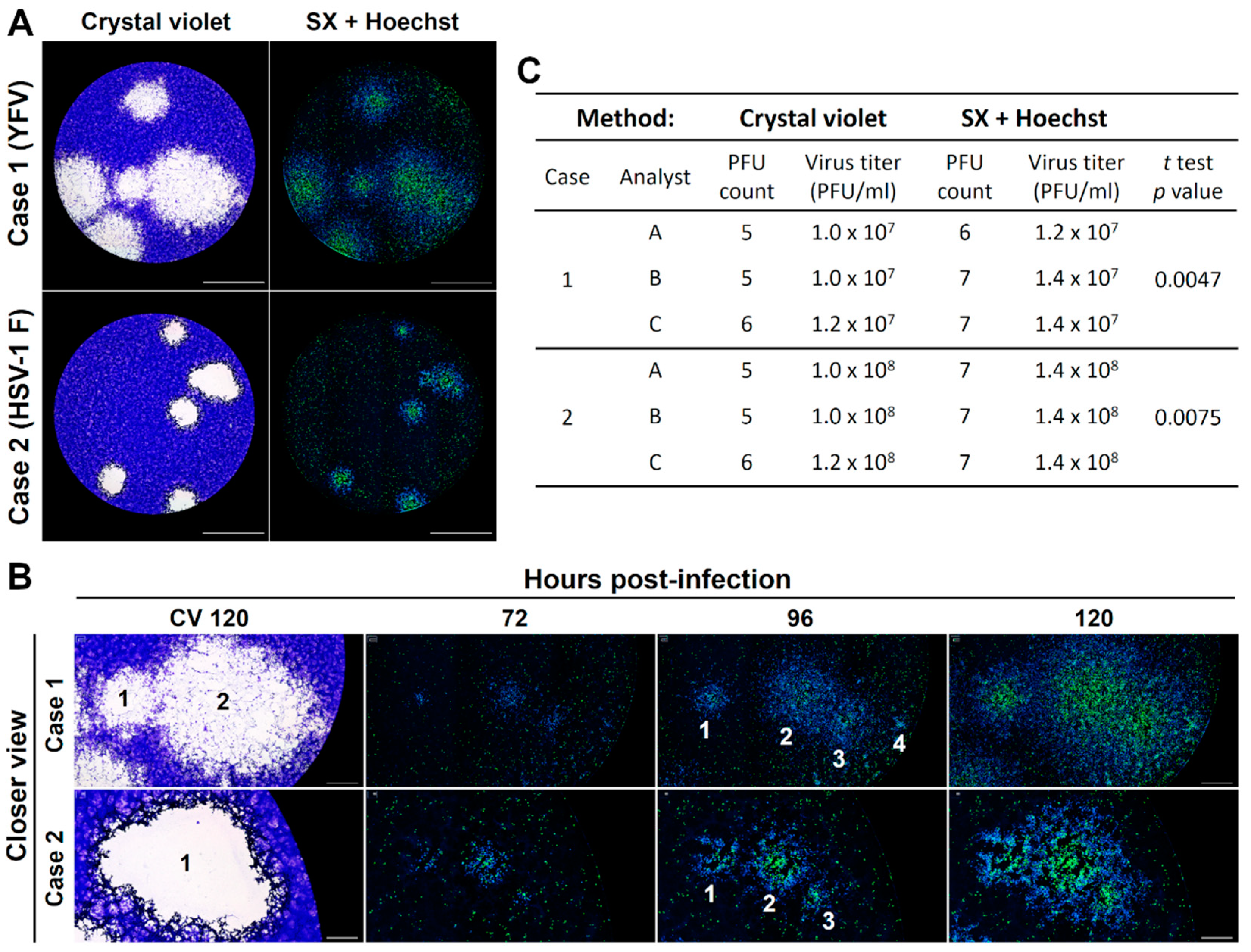 Viruses 13 01193 g005