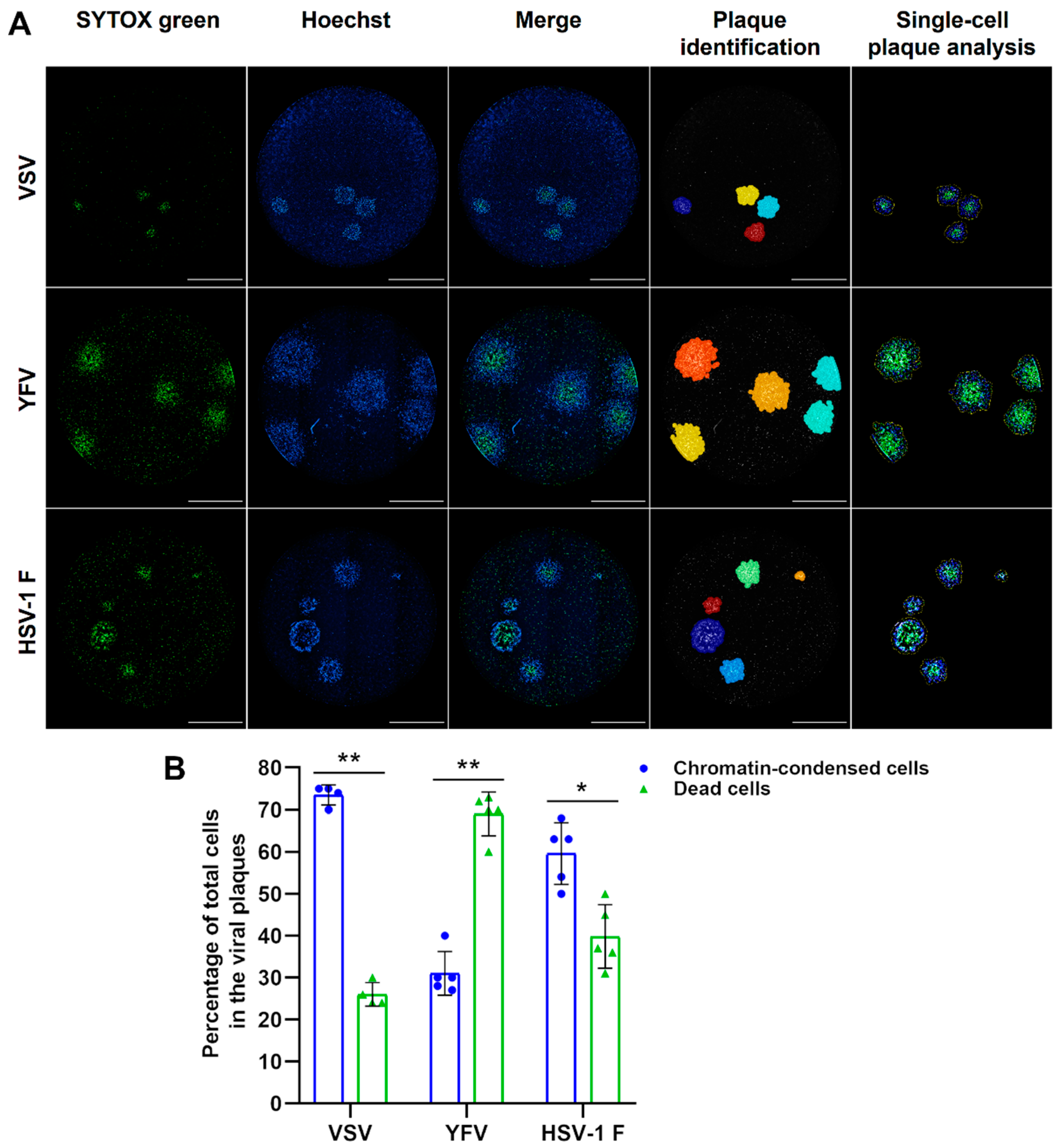 Viruses 13 01193 g007