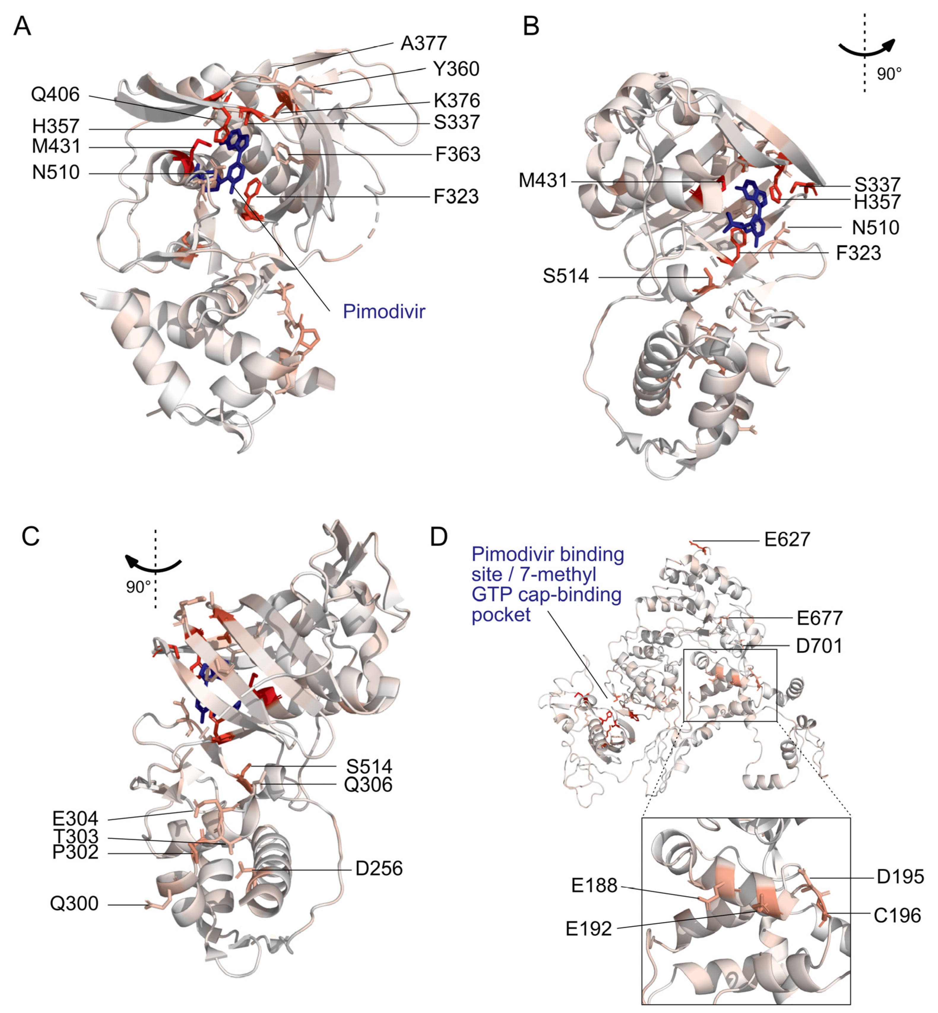 Viruses 13 01196 g002