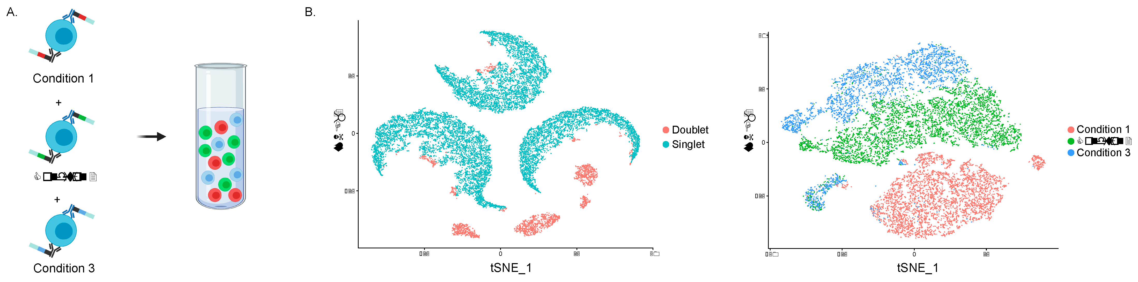 Viruses 13 01197 g002