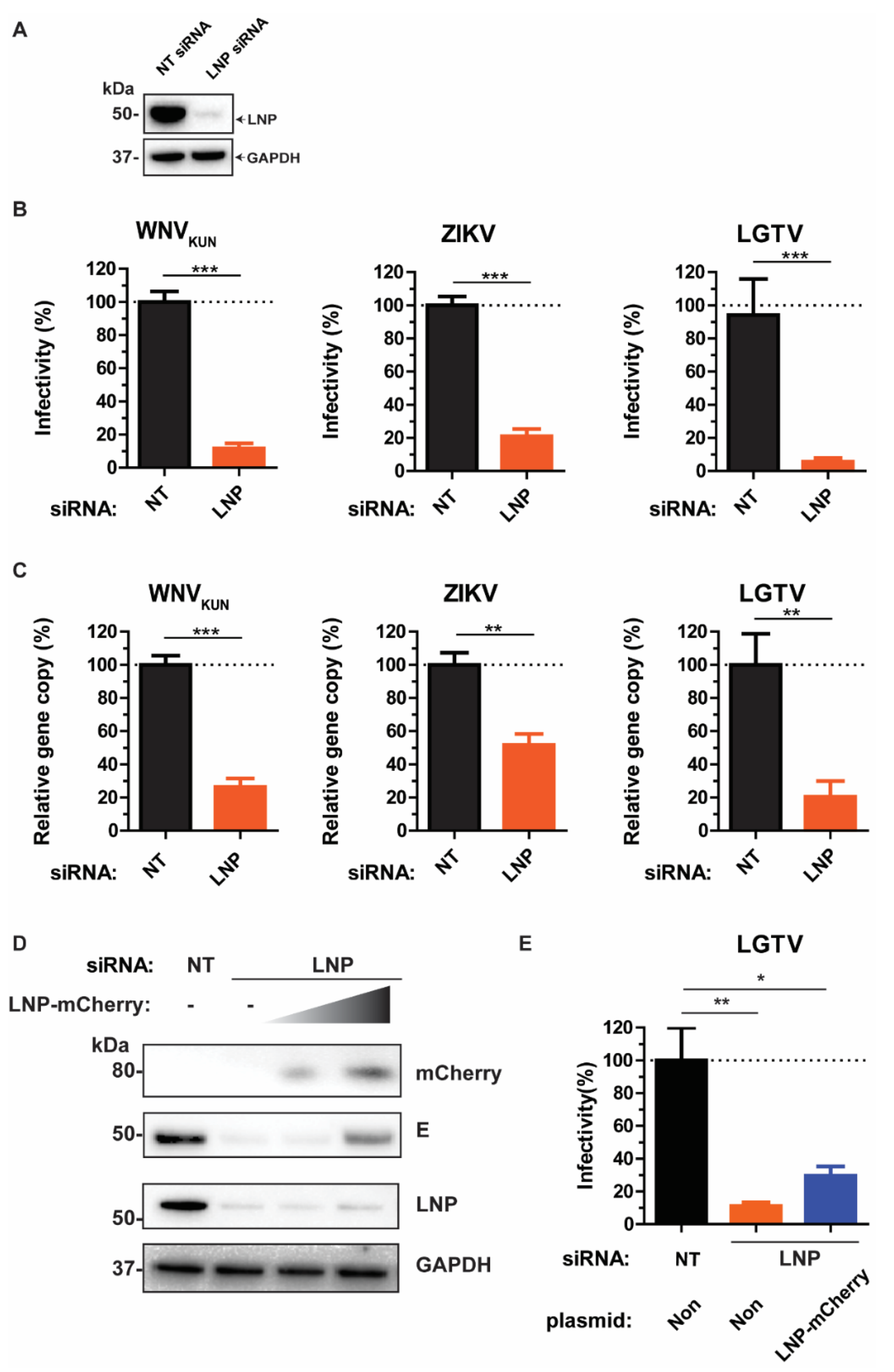 Viruses 13 01198 g001