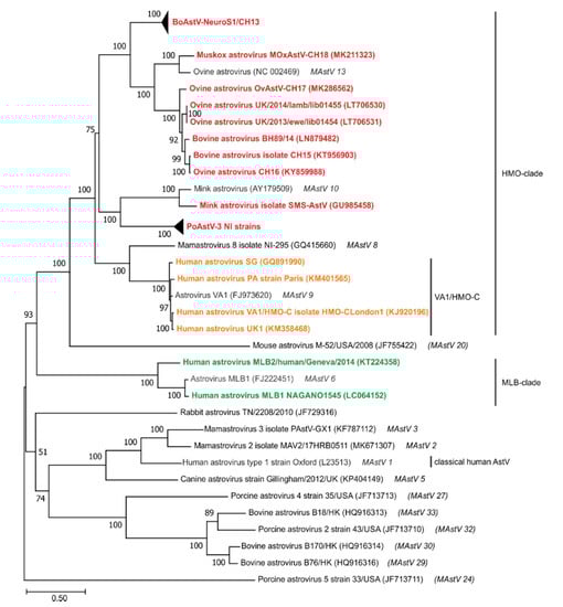 Viruses 13 01201 g003 550