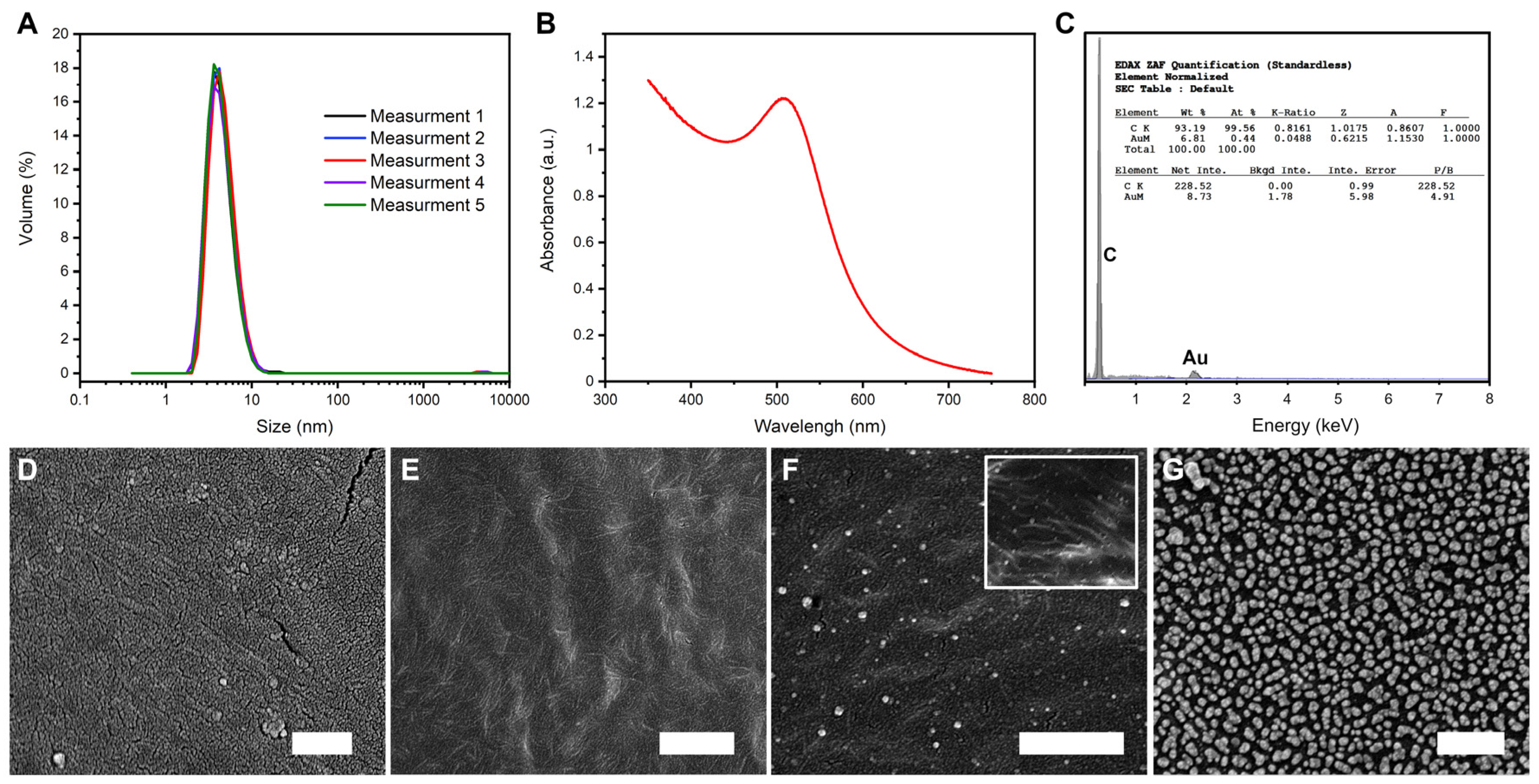 Viruses 13 01206 g001