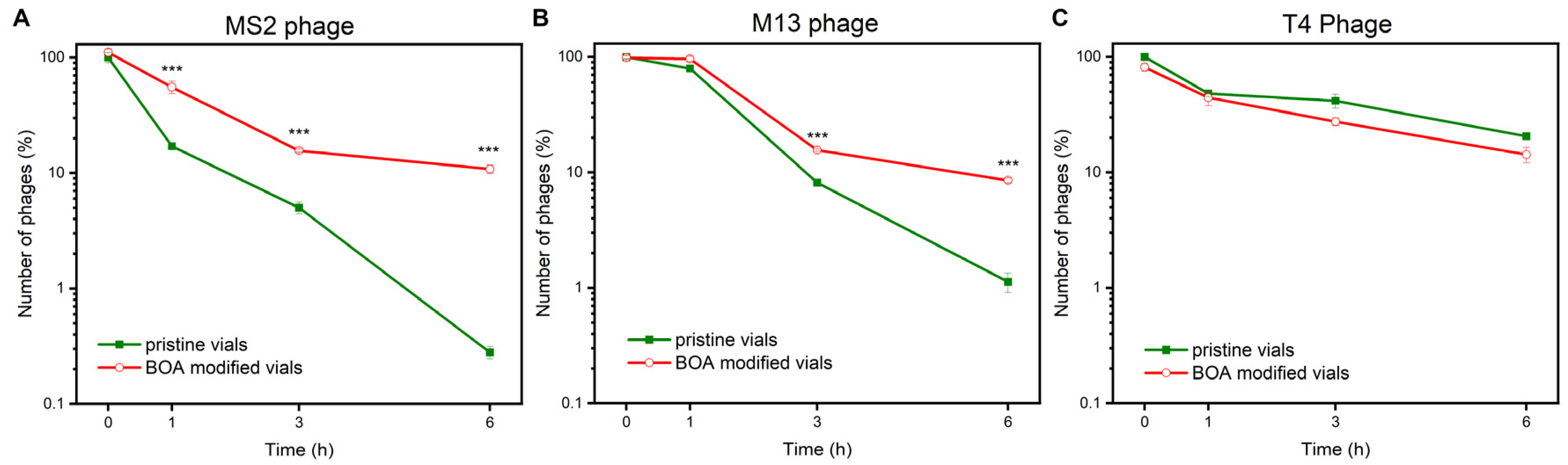 Viruses 13 01206 g002