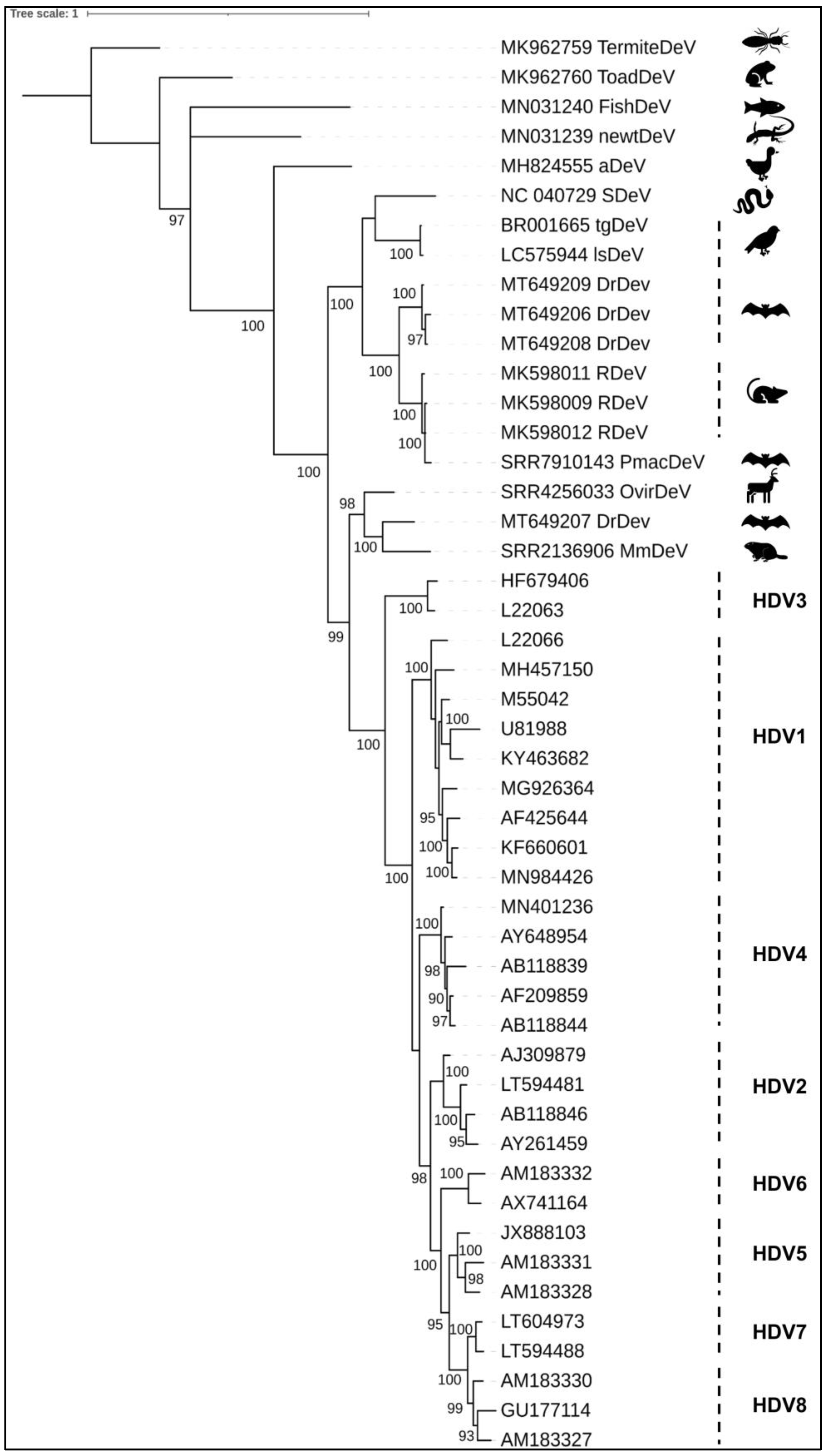 Viruses 13 01207 g001
