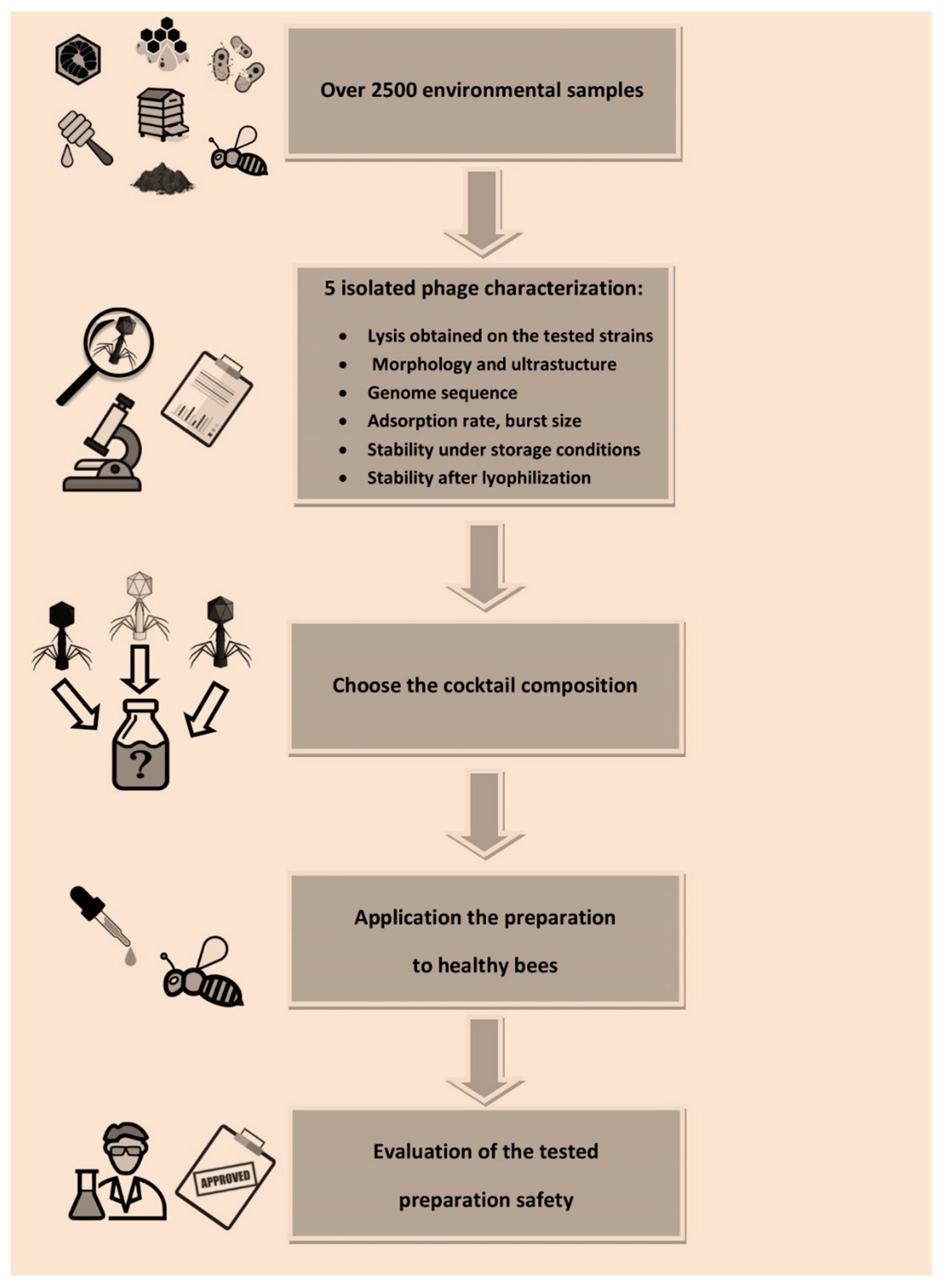 Viruses 13 01217 g012