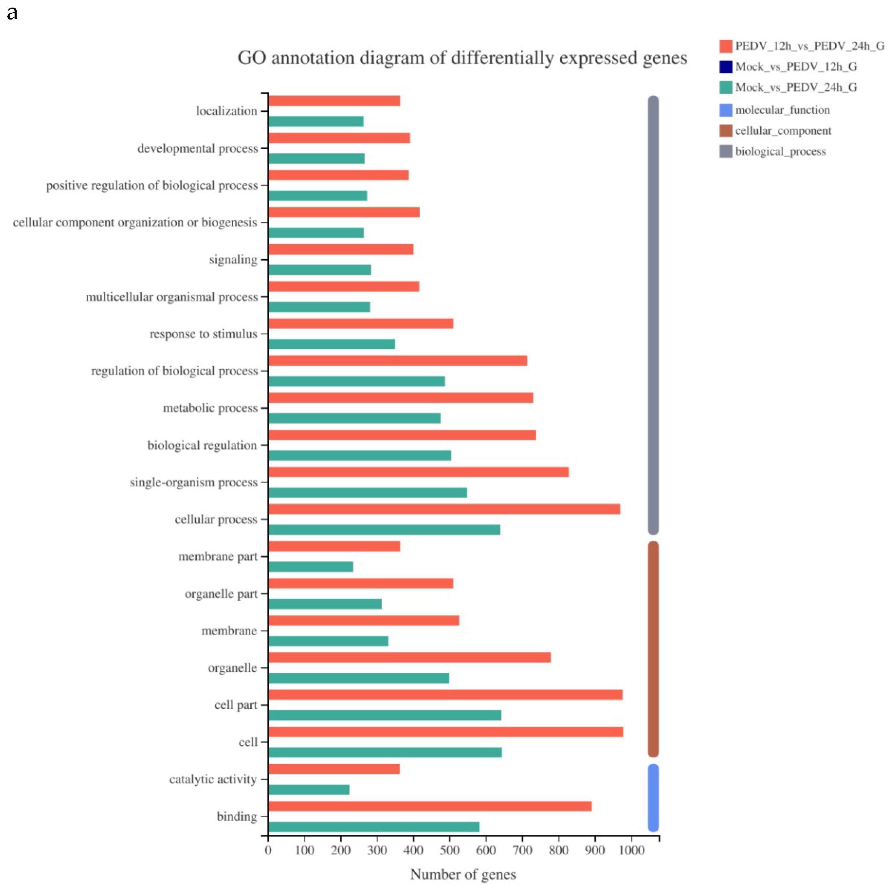 Viruses 13 01218 g003a