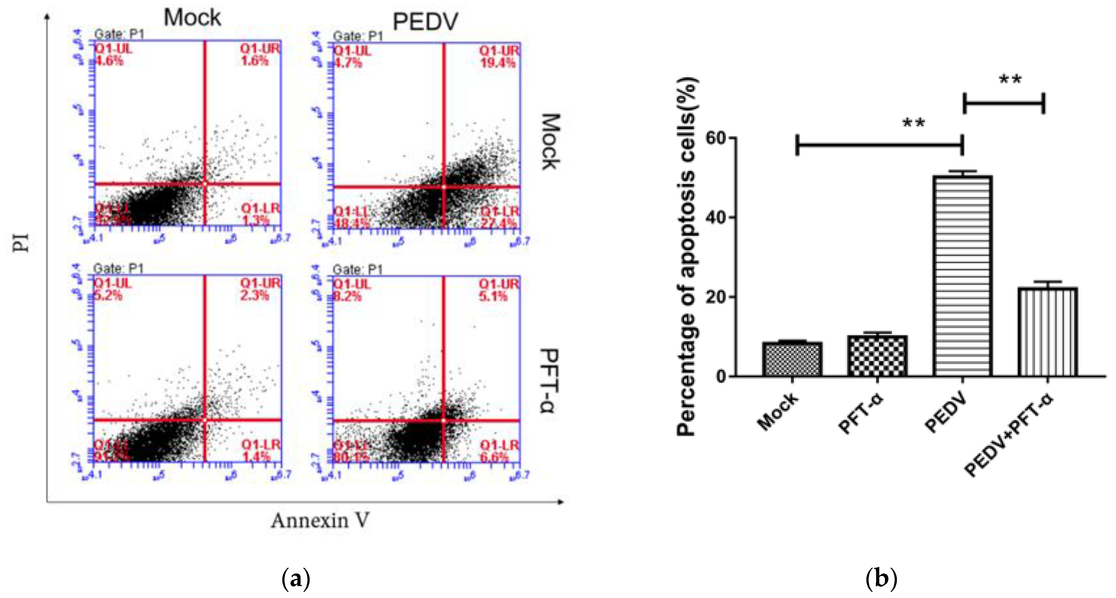 Viruses 13 01218 g008