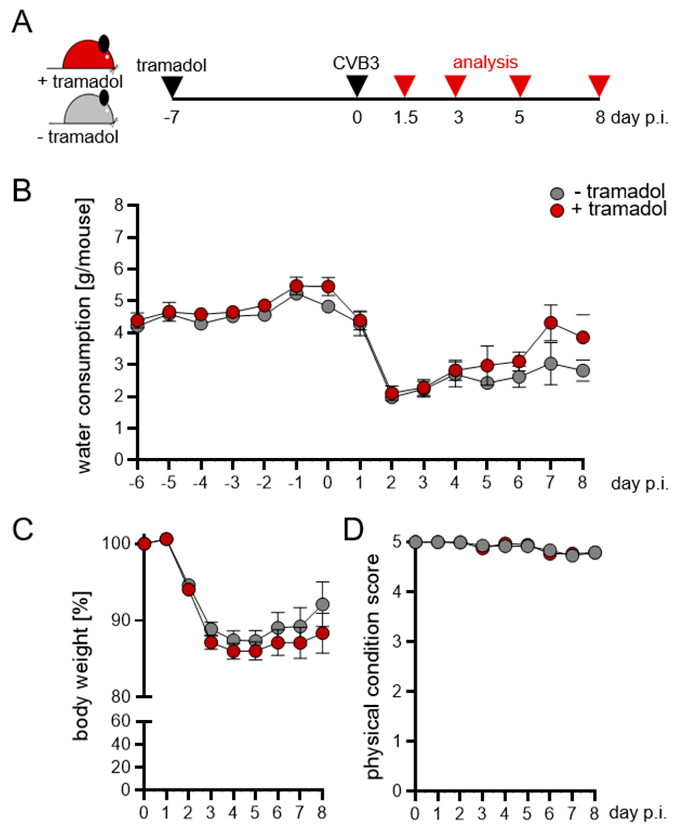 Viruses 13 01222 g001