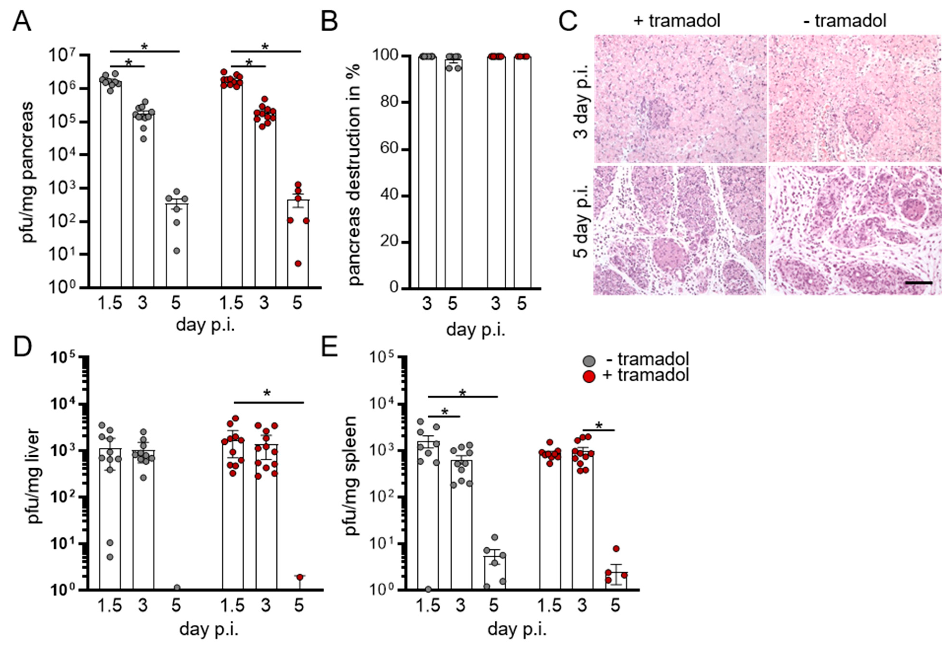 Viruses 13 01222 g002