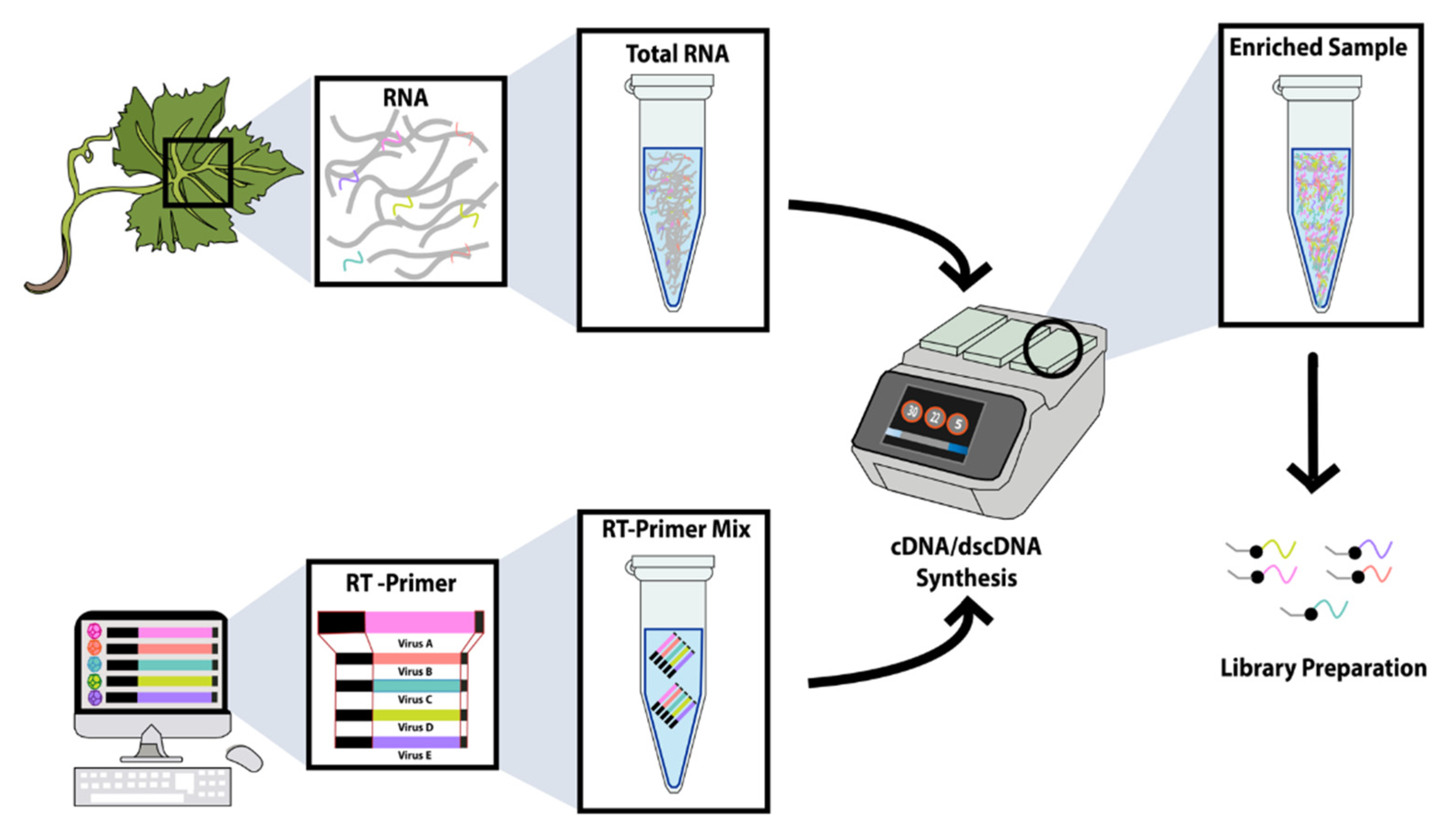 Viruses 13 01223 g001