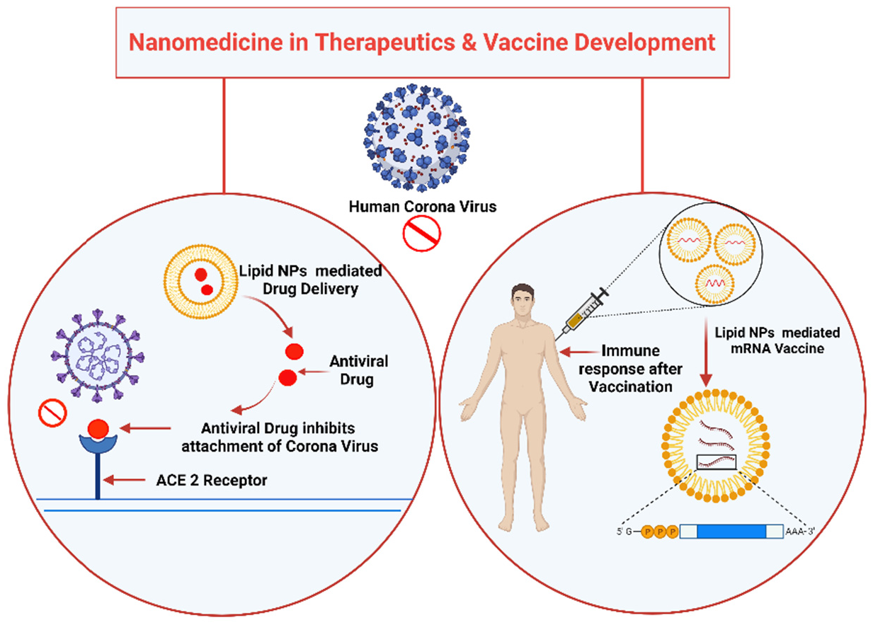 Viruses 13 01224 g004