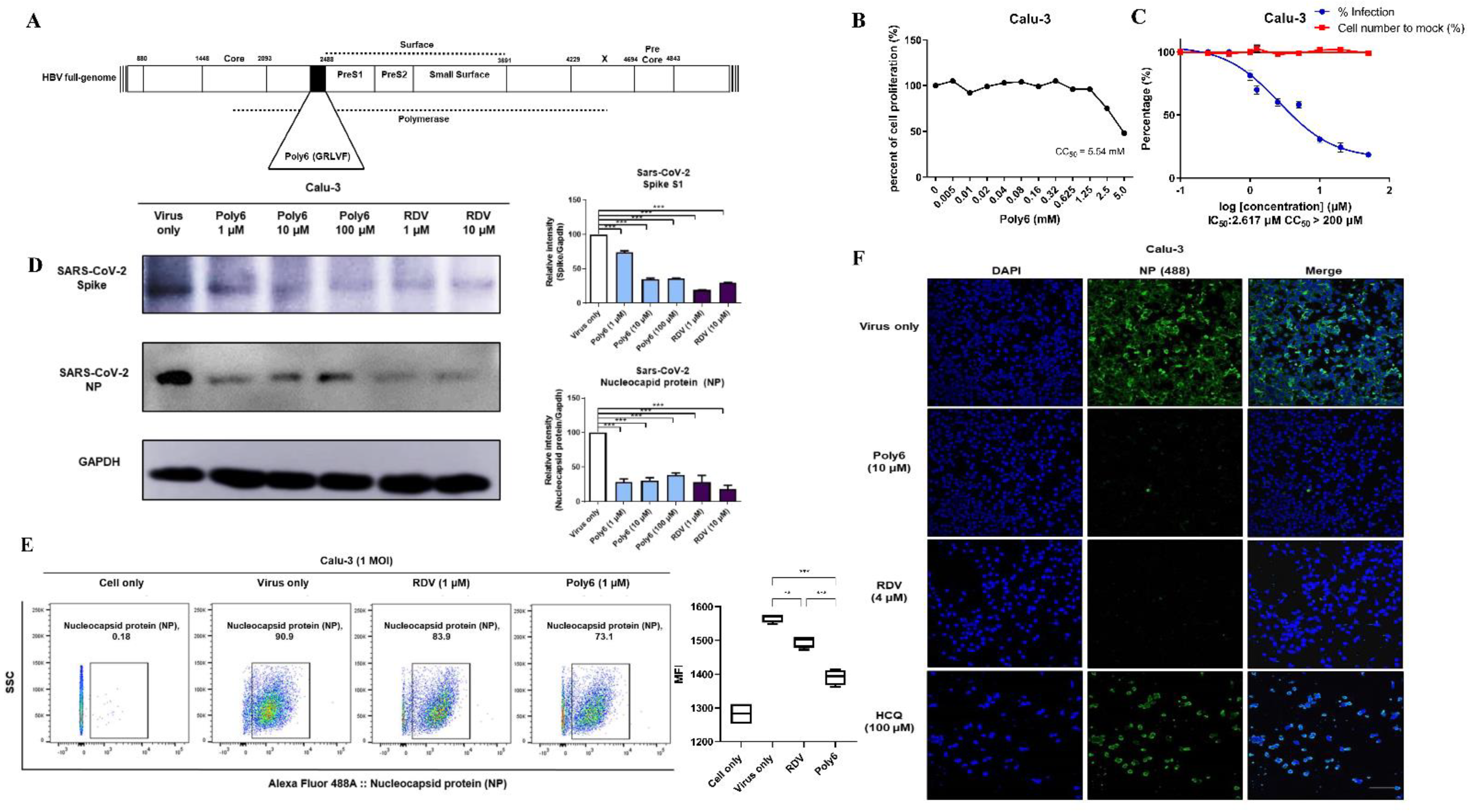 Viruses 13 01227 g001