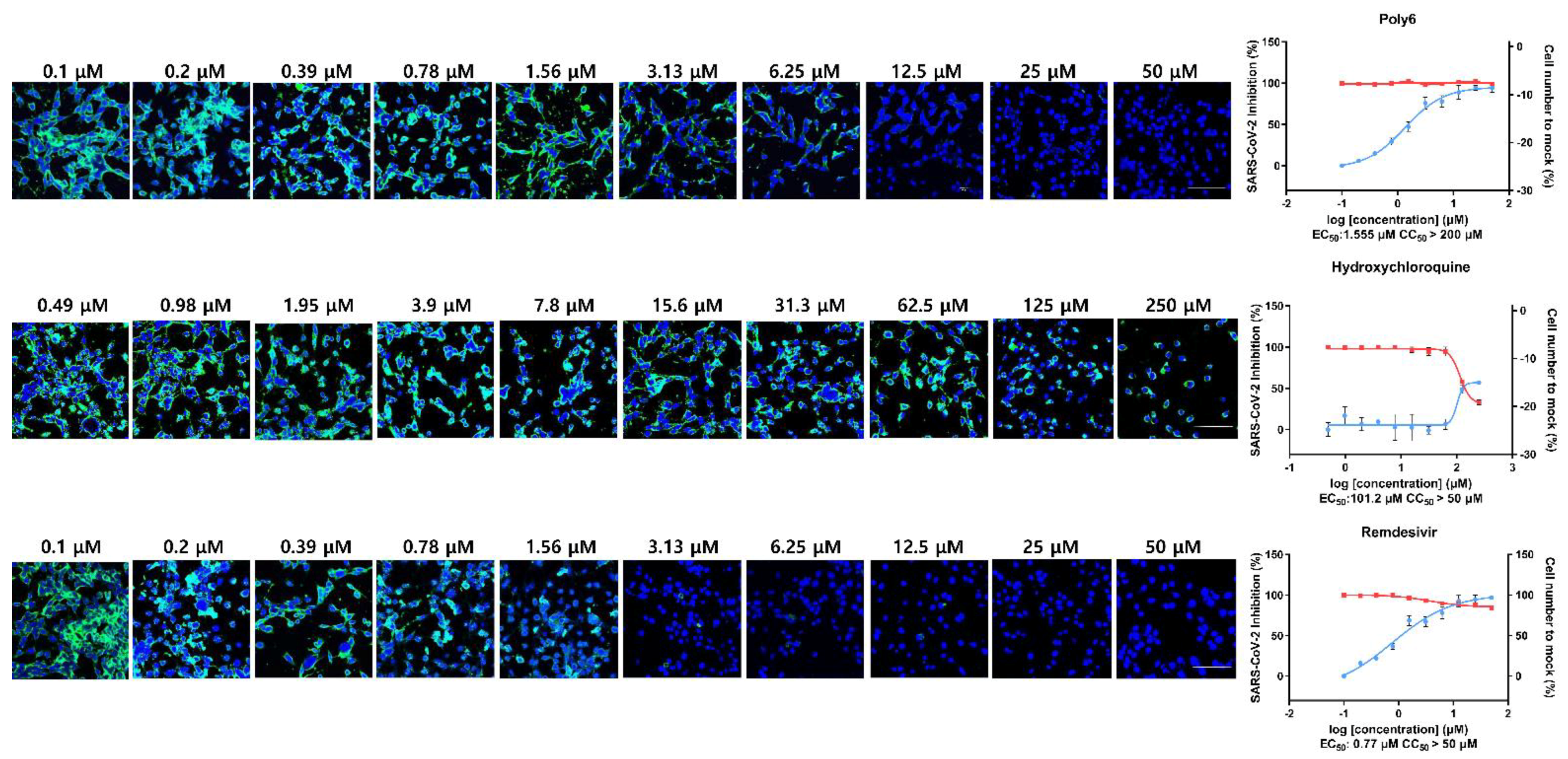 Viruses 13 01227 g002