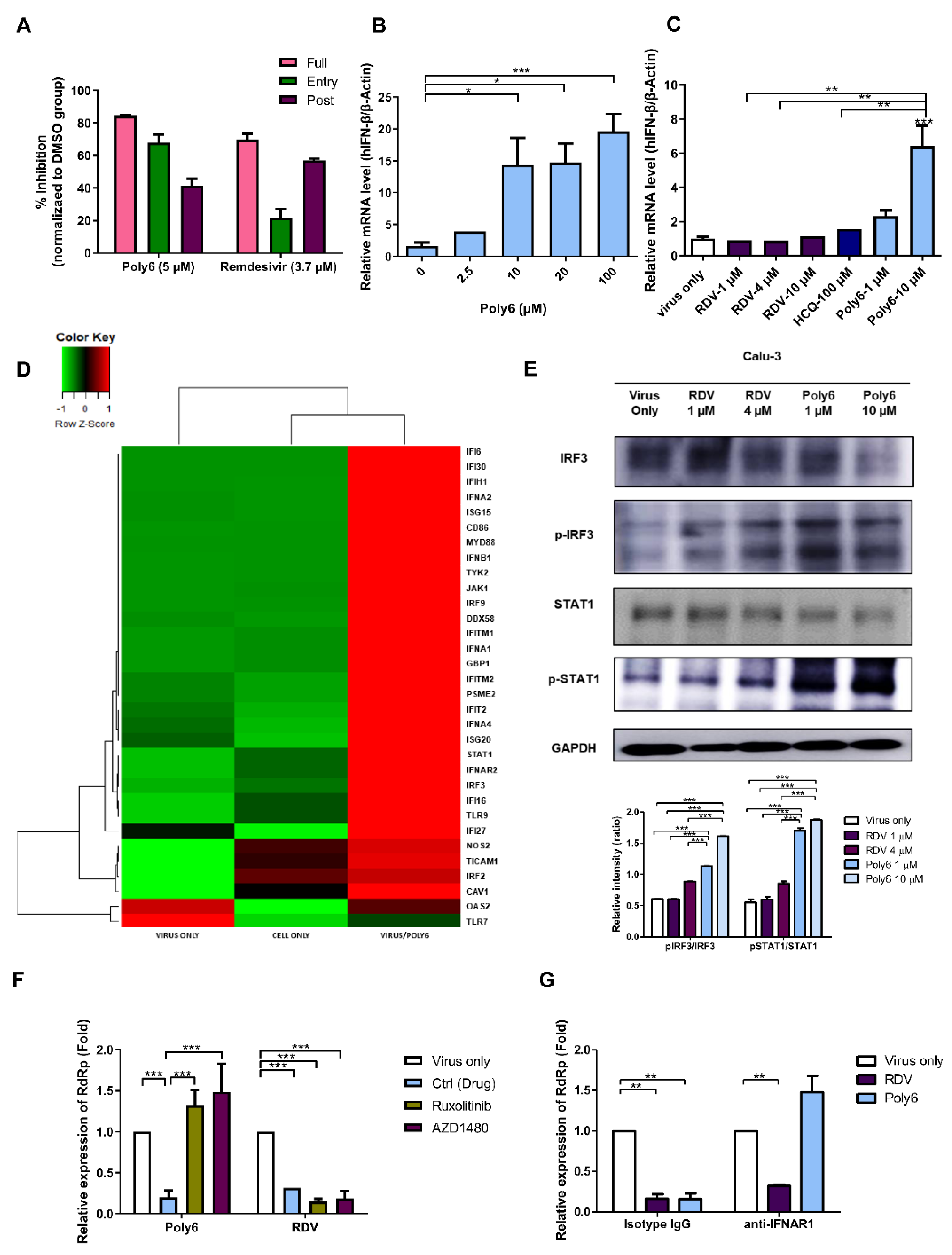 Viruses 13 01227 g004