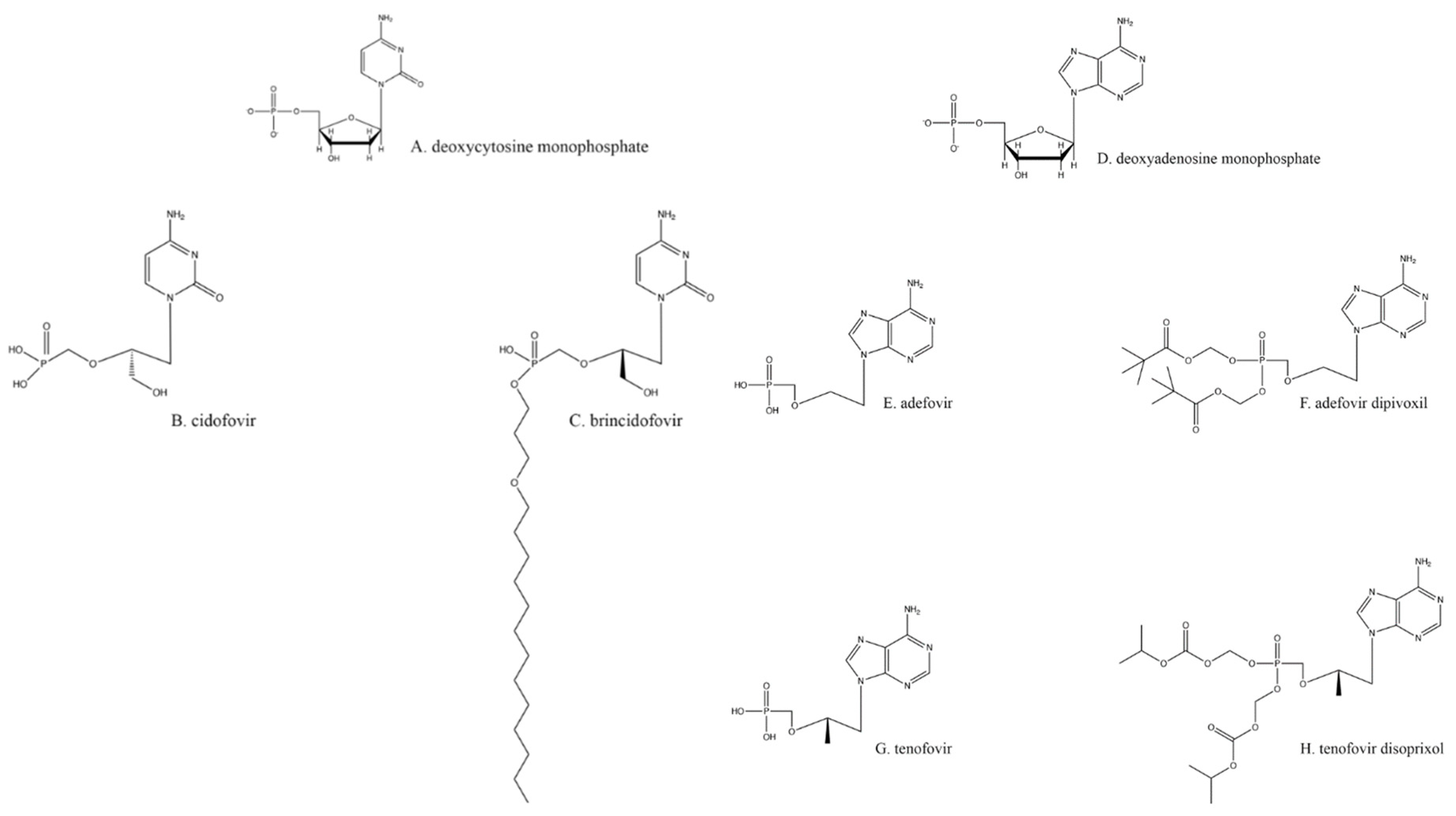 Viruses 13 01228 g002