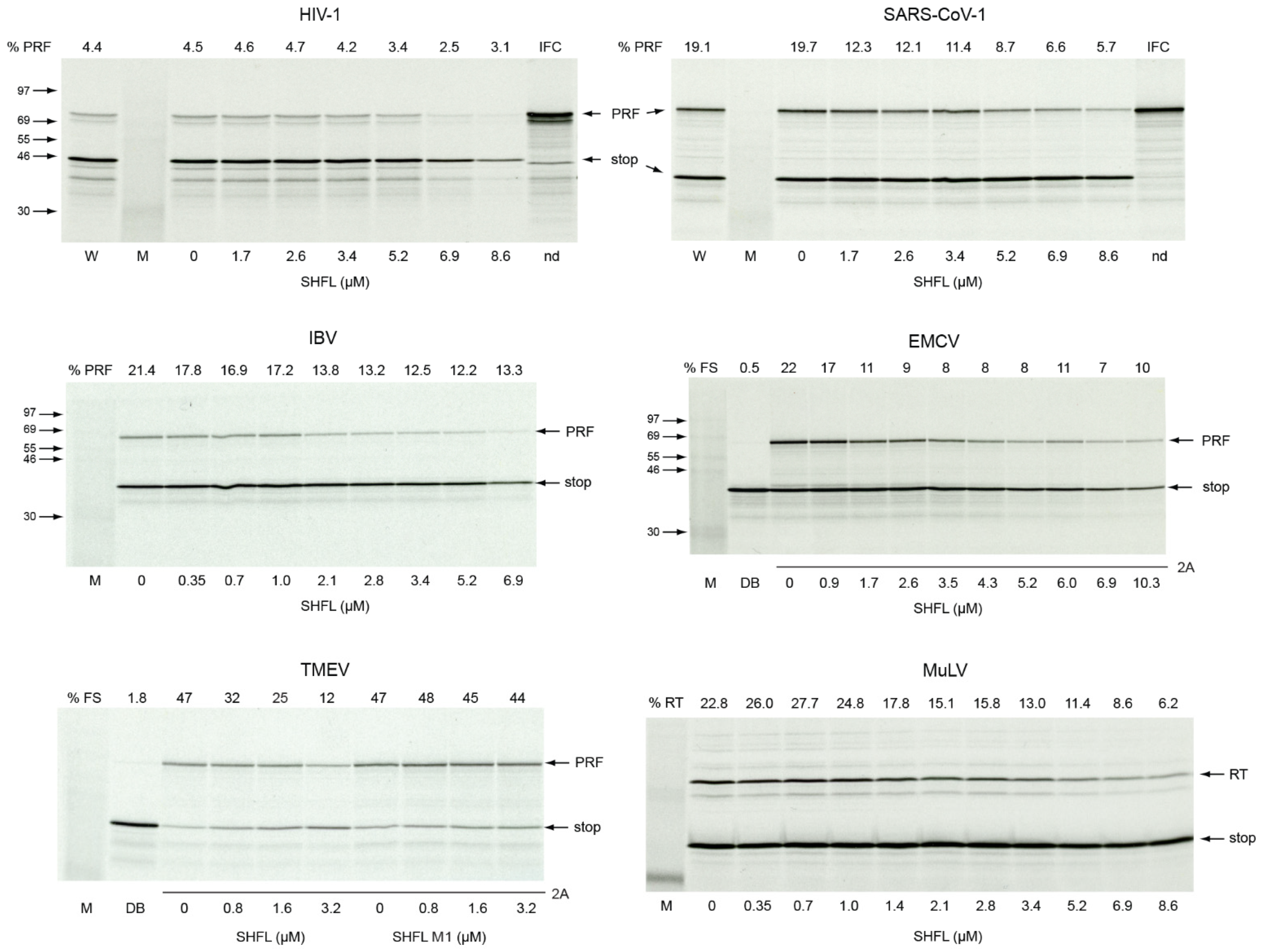 Viruses 13 01230 g003