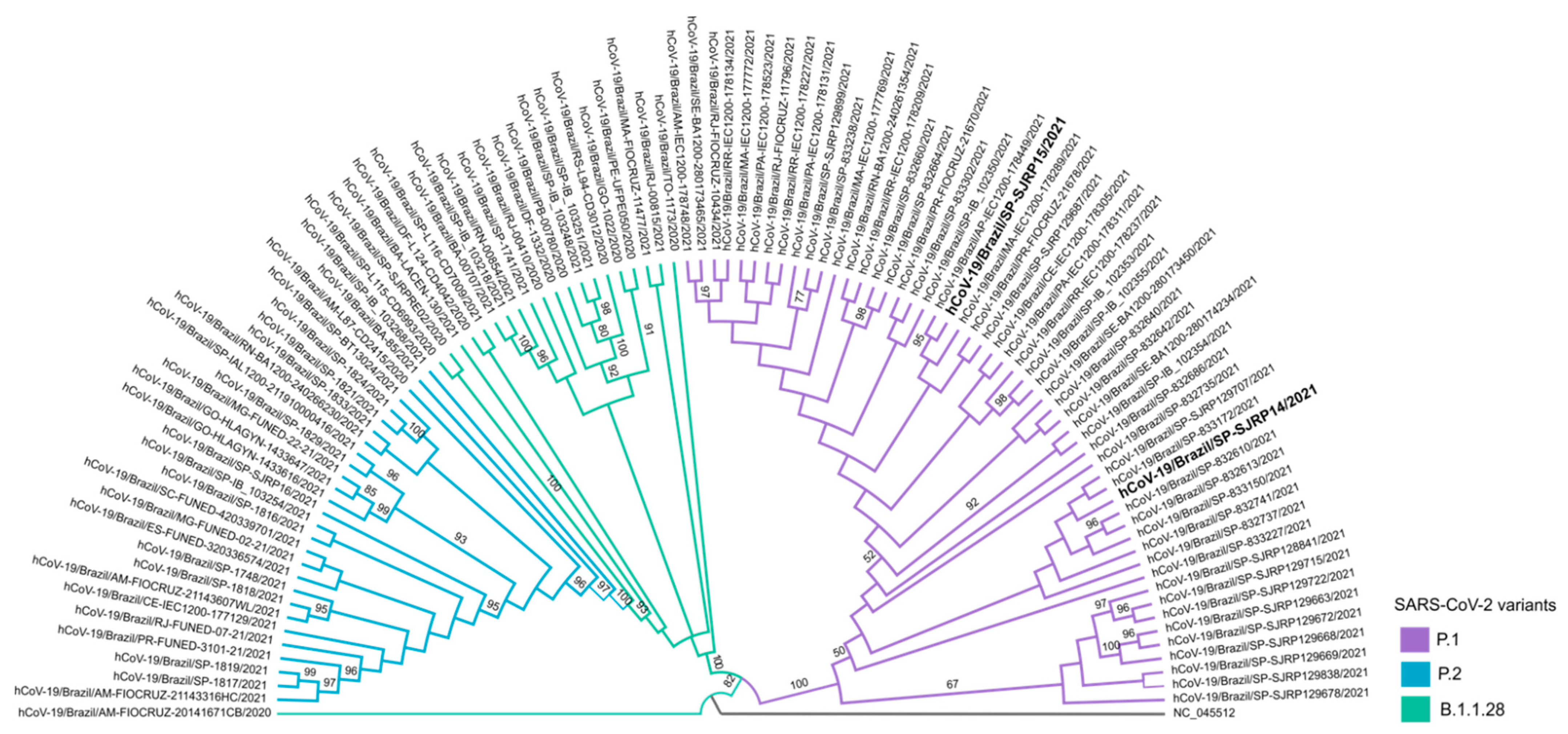 Viruses 13 01237 g003