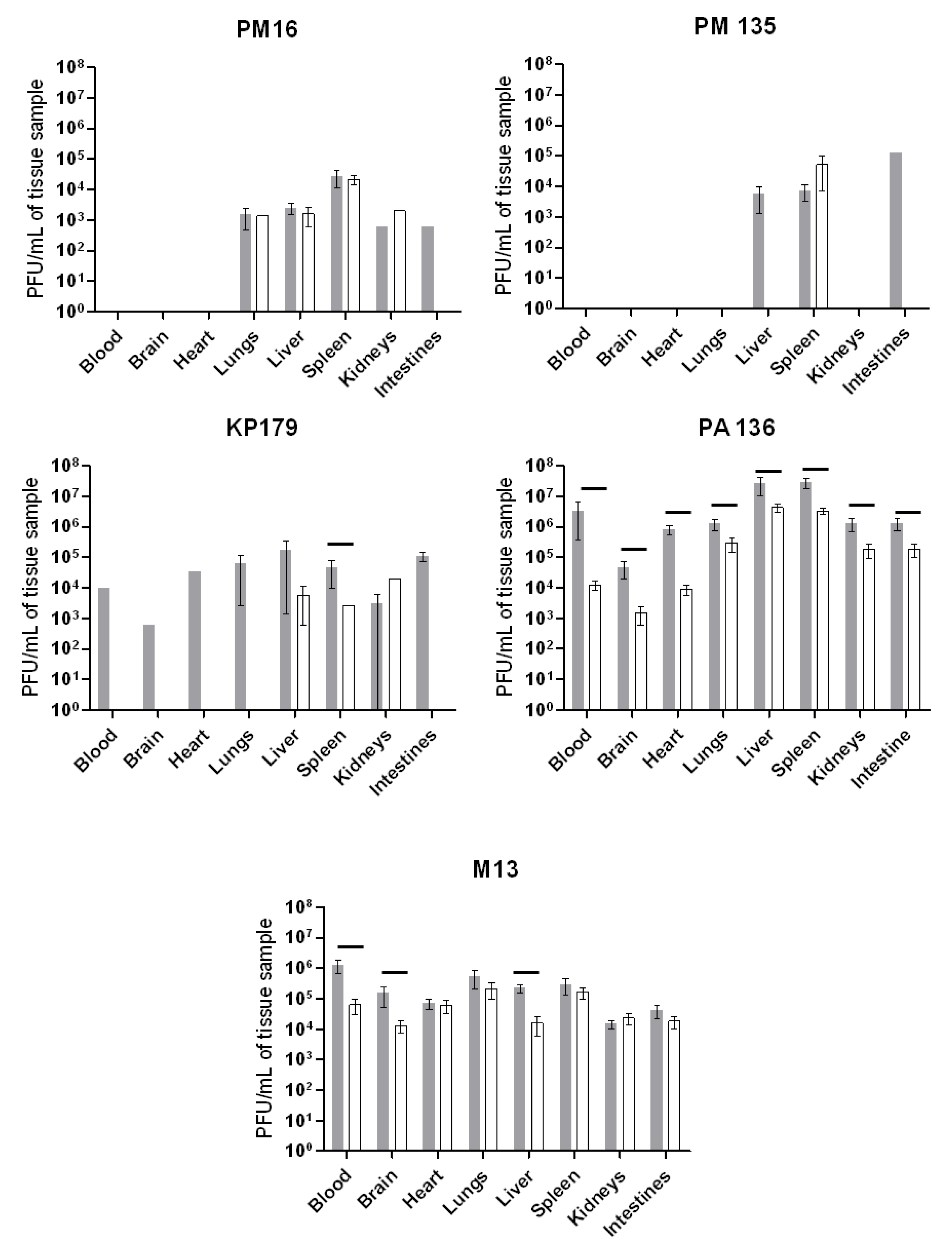Viruses 13 01241 g002