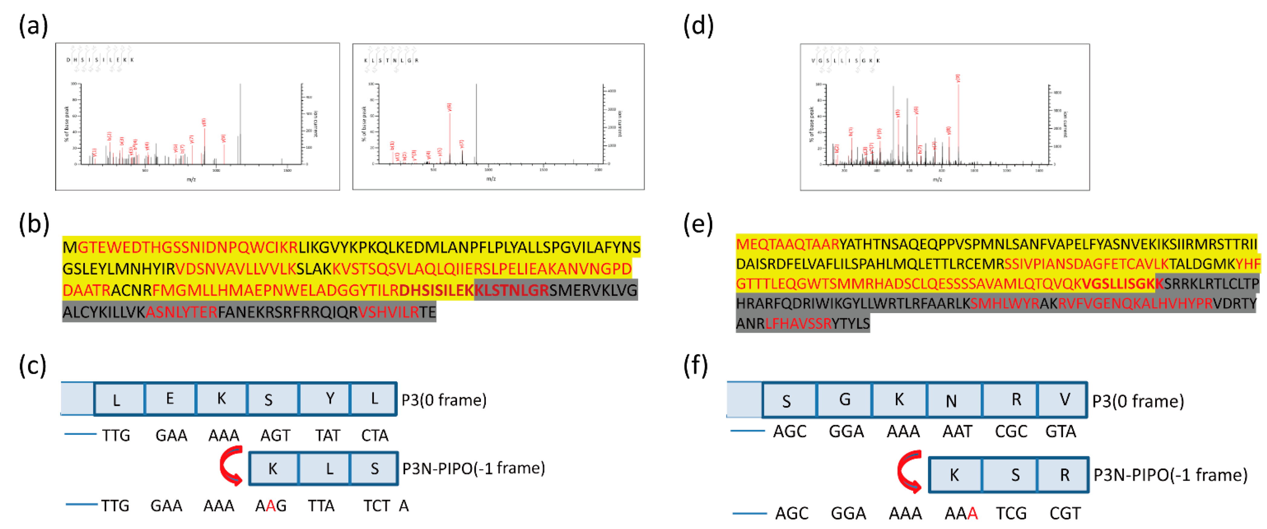 Viruses 13 01247 g003