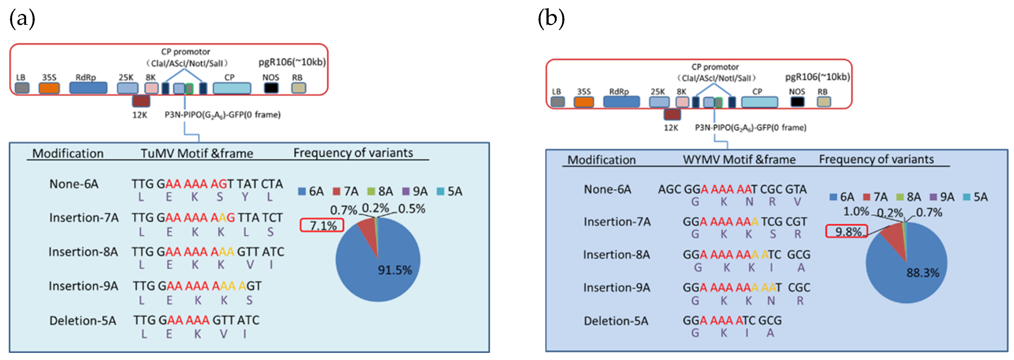 Viruses 13 01247 g004