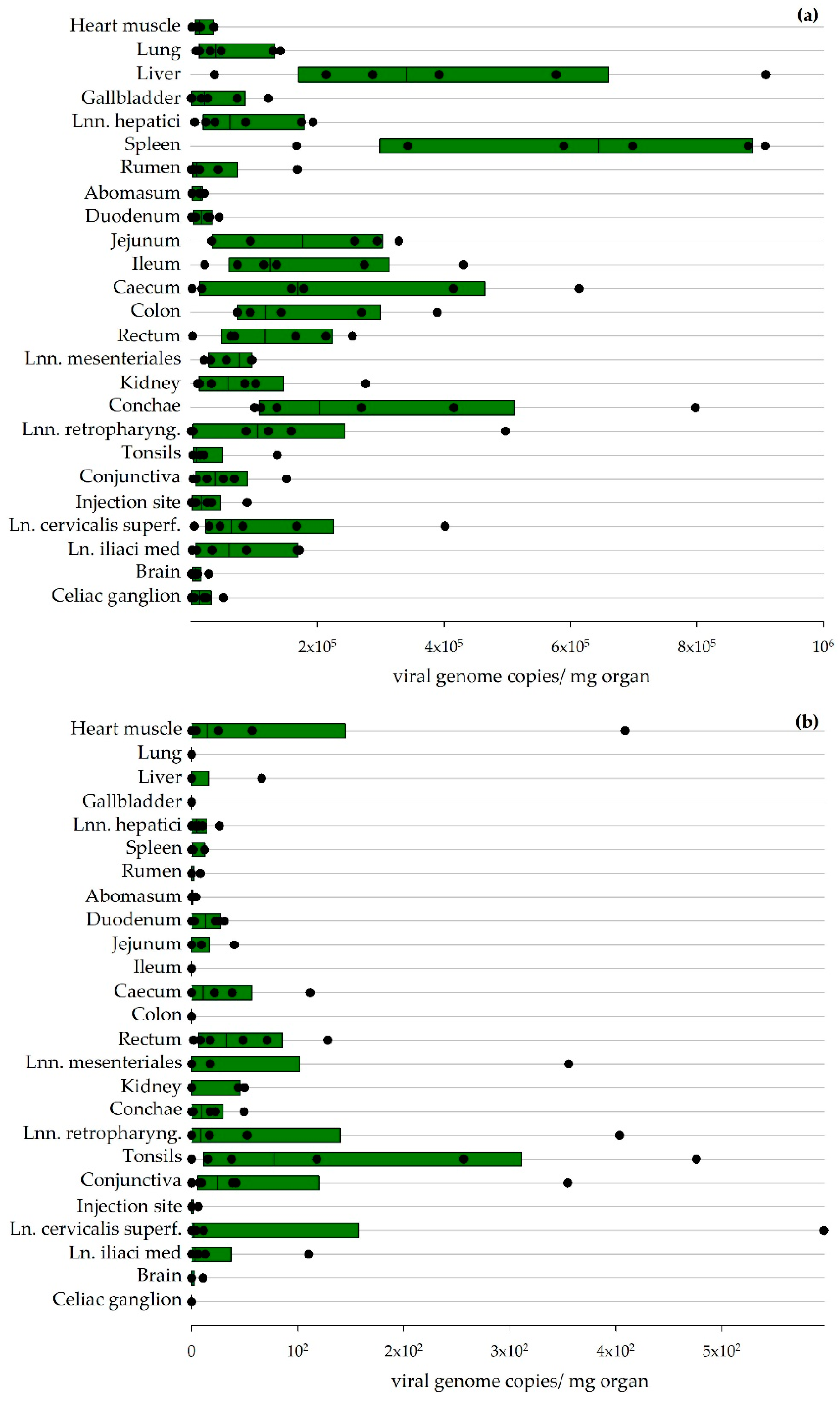 Viruses 13 01250 g005