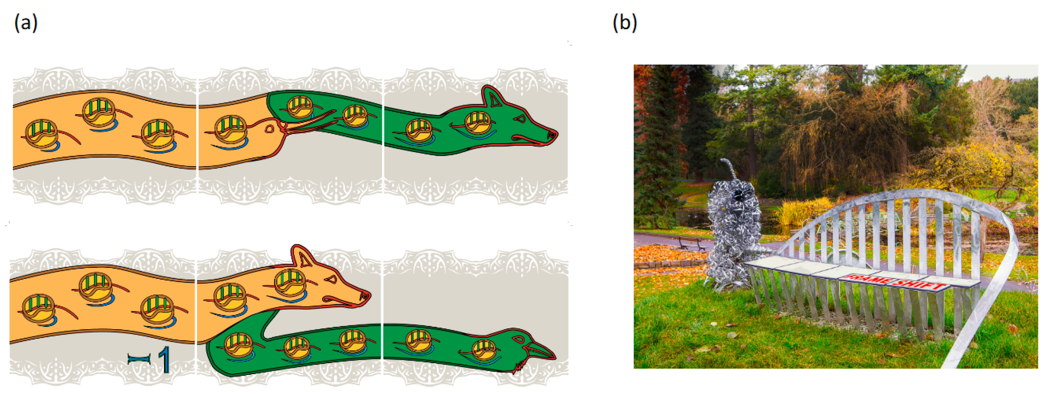 Viruses 13 01251 g001