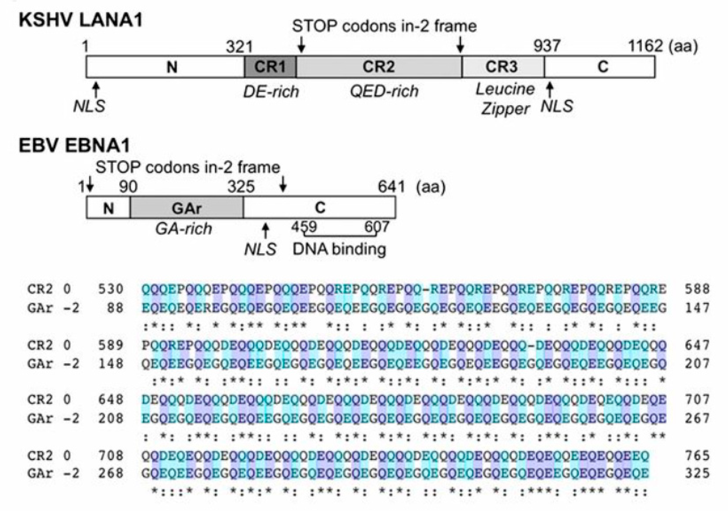 Viruses 13 01251 g007