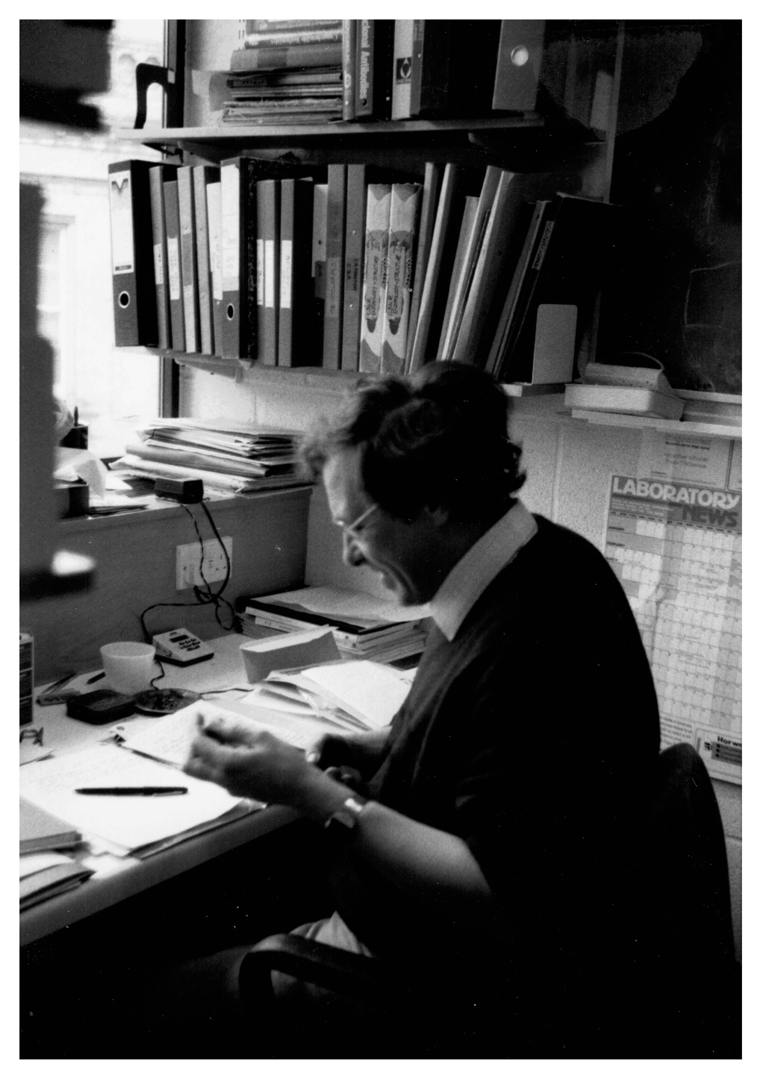 Viruses 13 01256 g001