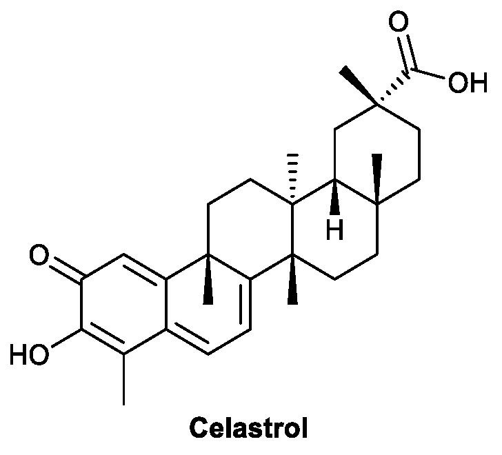 Viruses 13 01257 g004