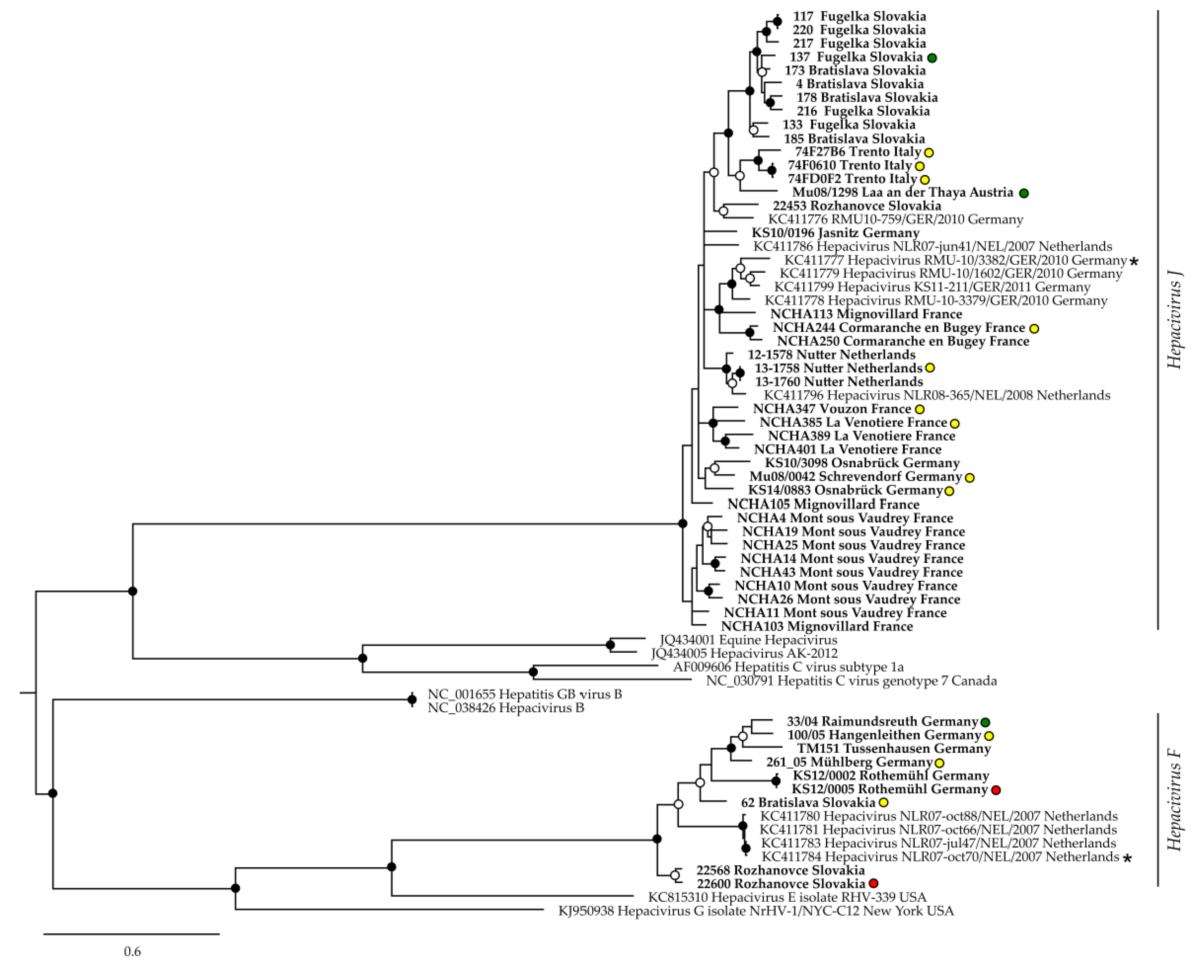Viruses 13 01258 g002