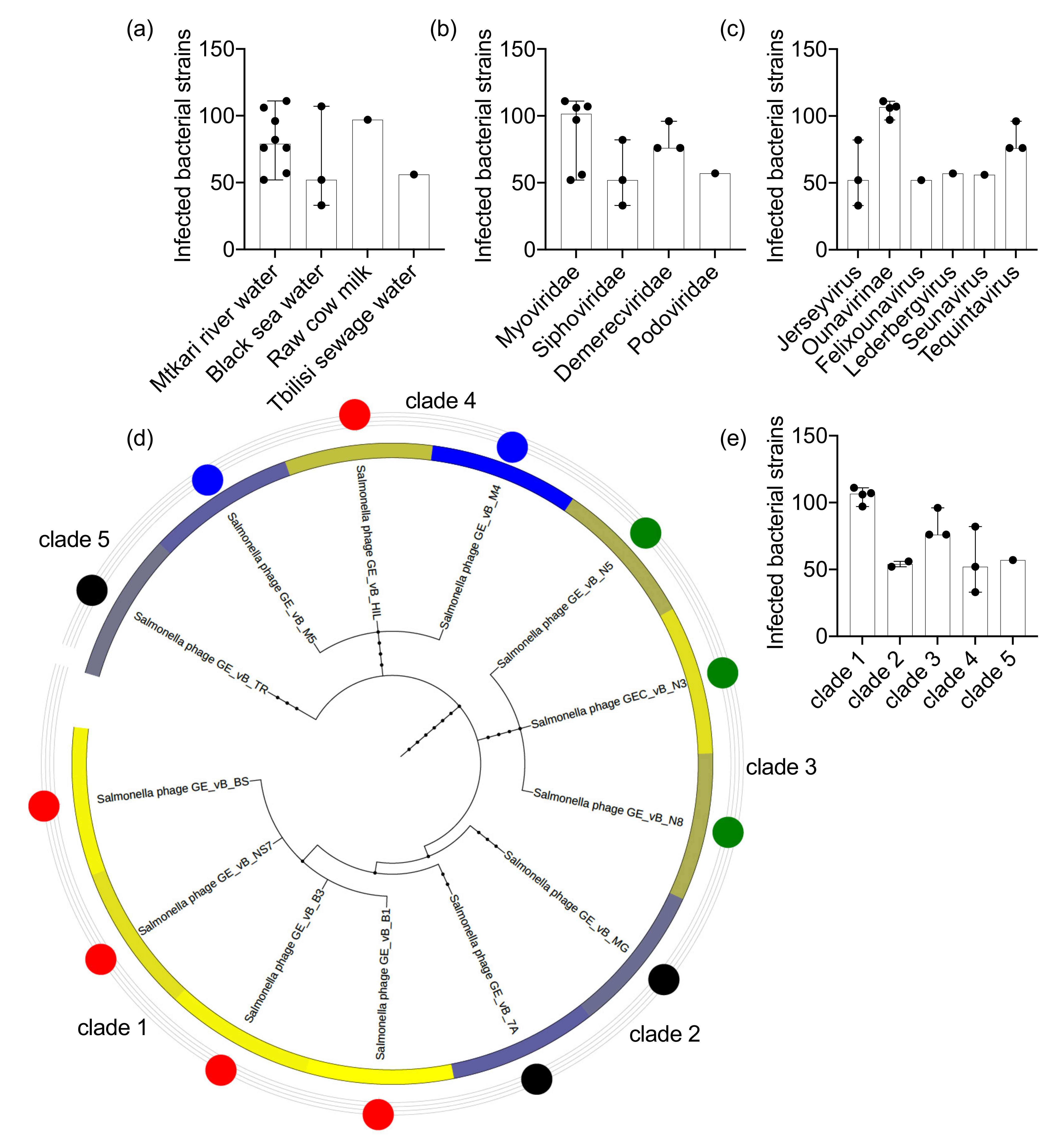 Viruses 13 01261 g001