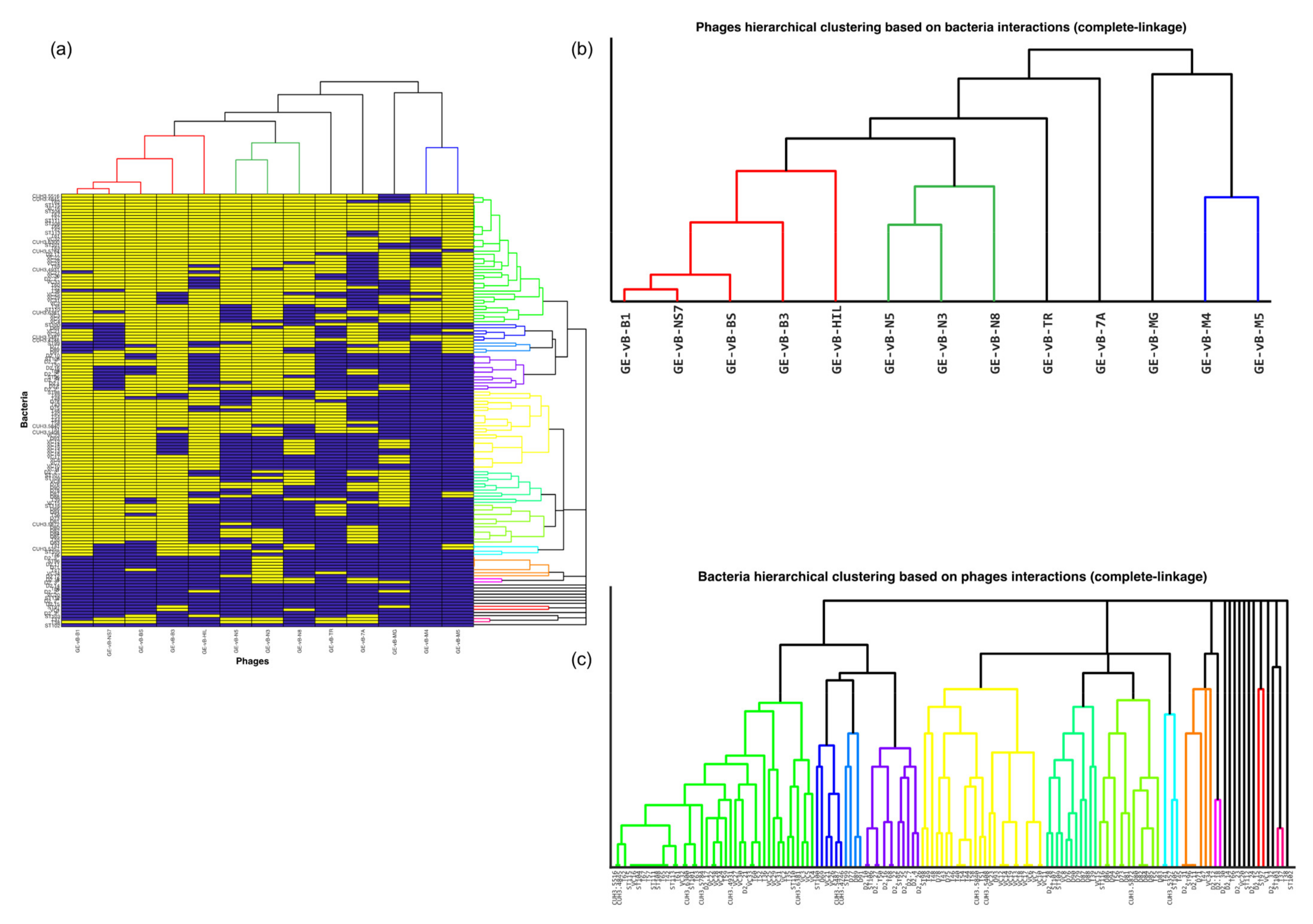Viruses 13 01261 g002