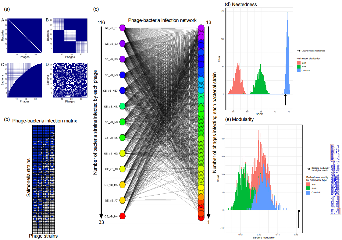 Viruses 13 01261 g005