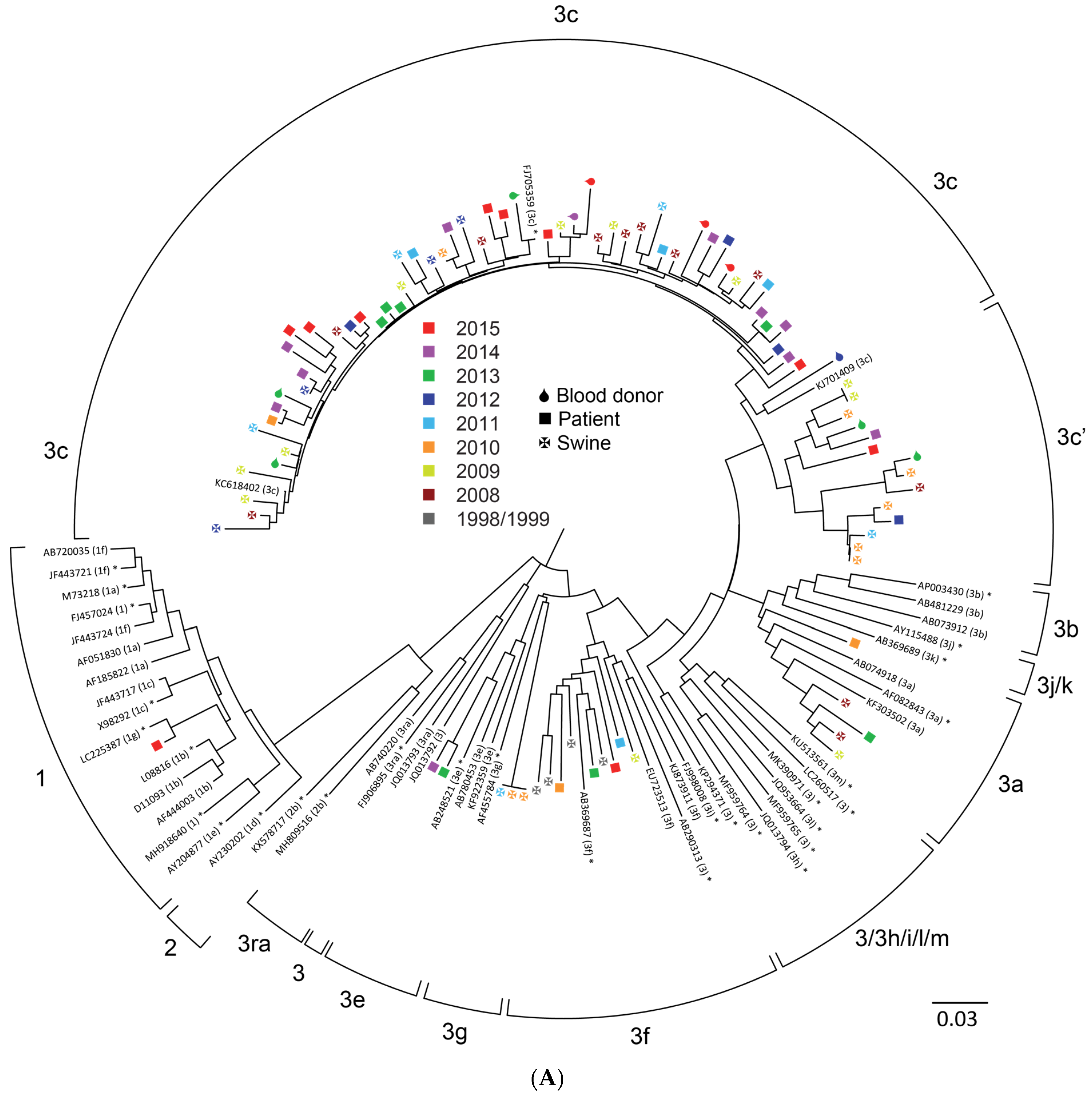Viruses 13 01265 g001a