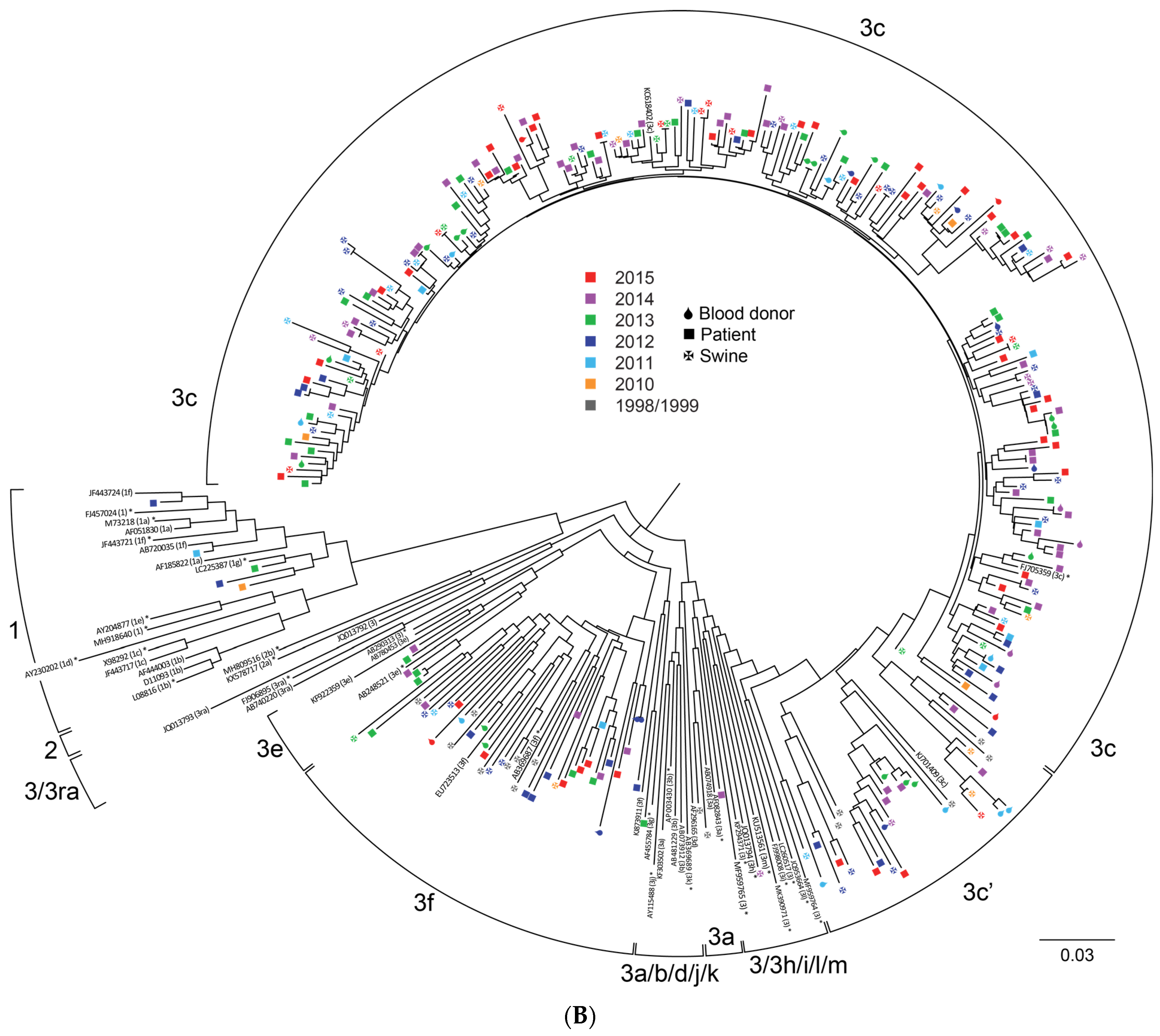 Viruses 13 01265 g001b