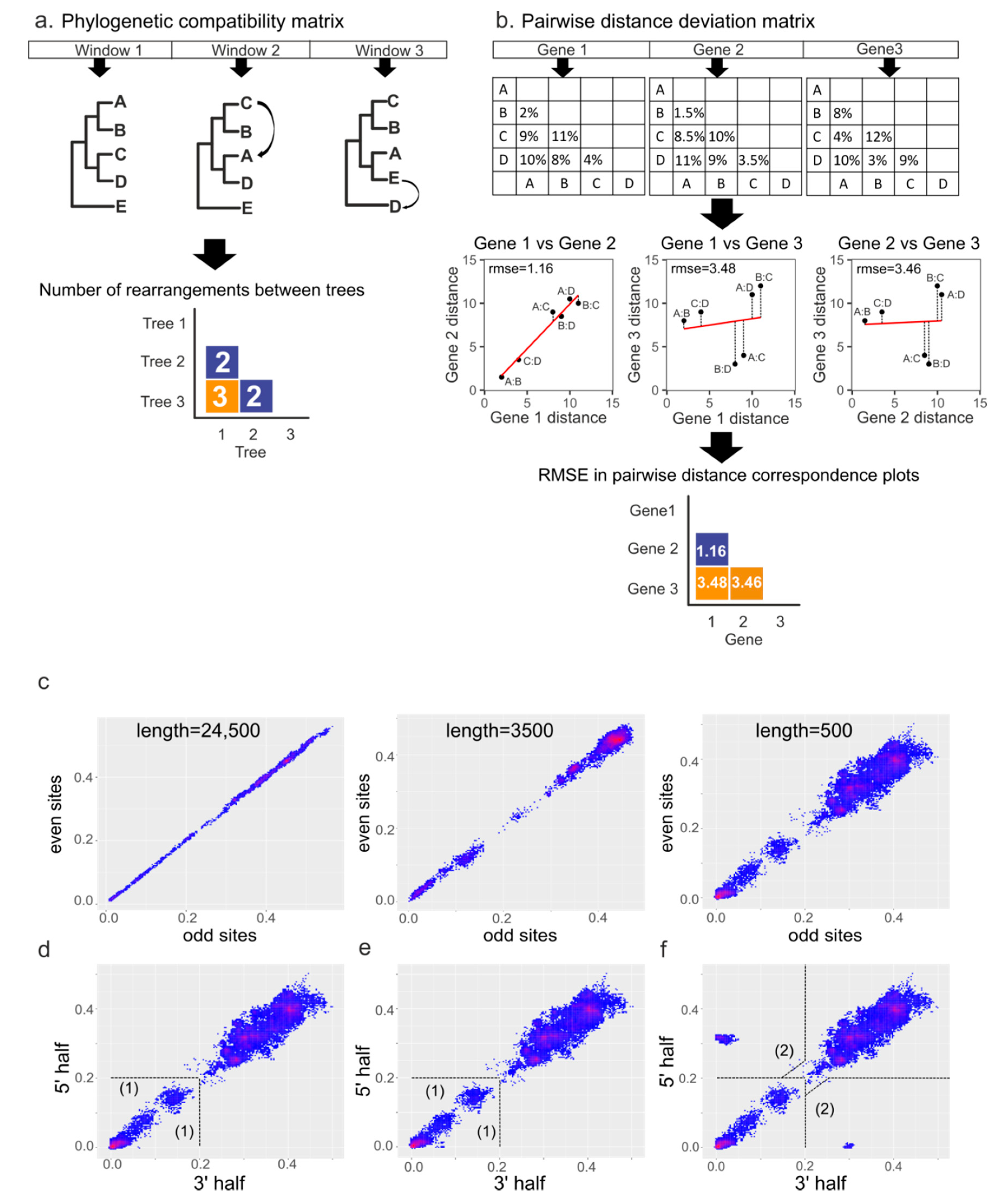 Viruses 13 01270 g001