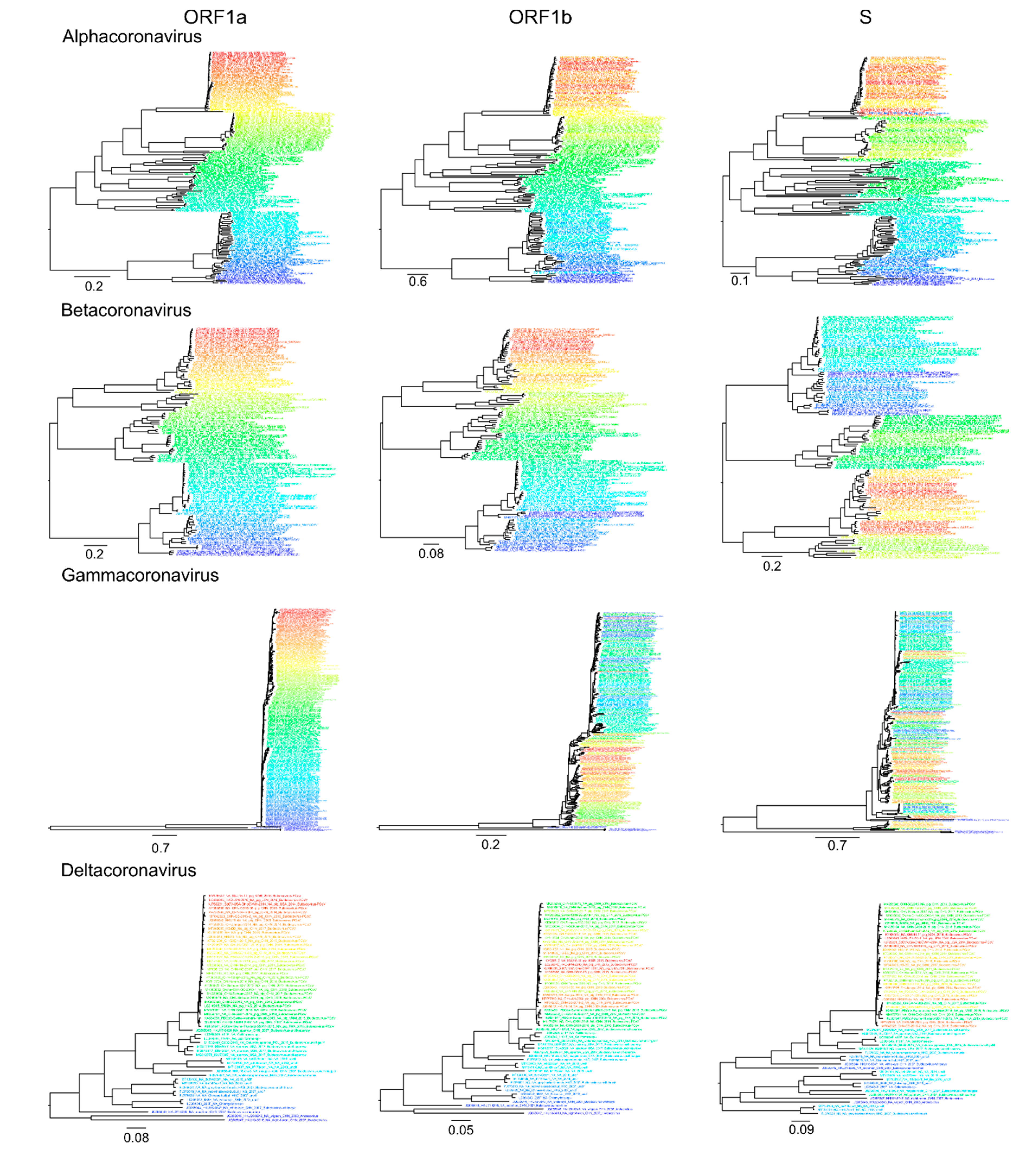 Viruses 13 01270 g004