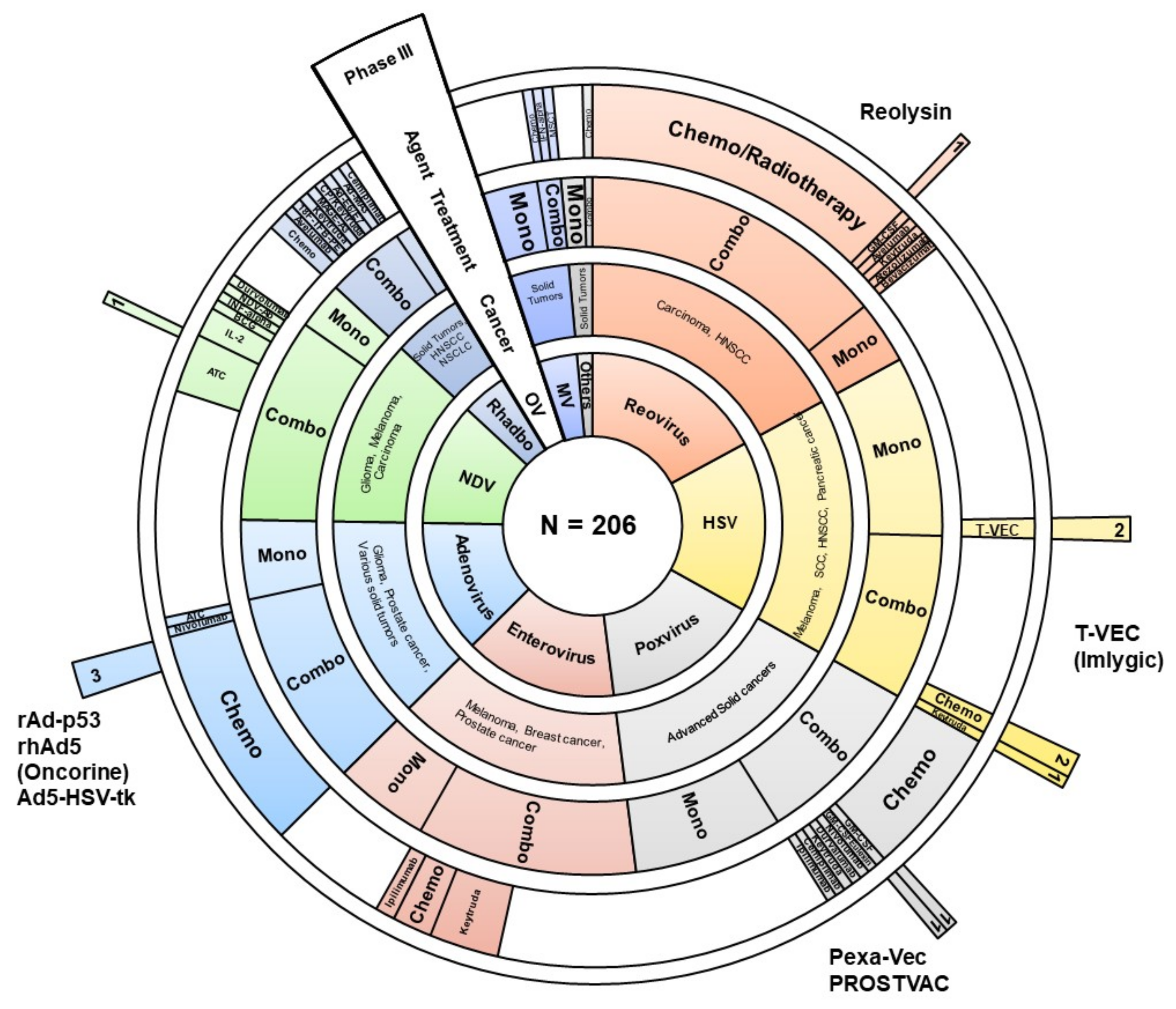 Viruses 13 01271 g001