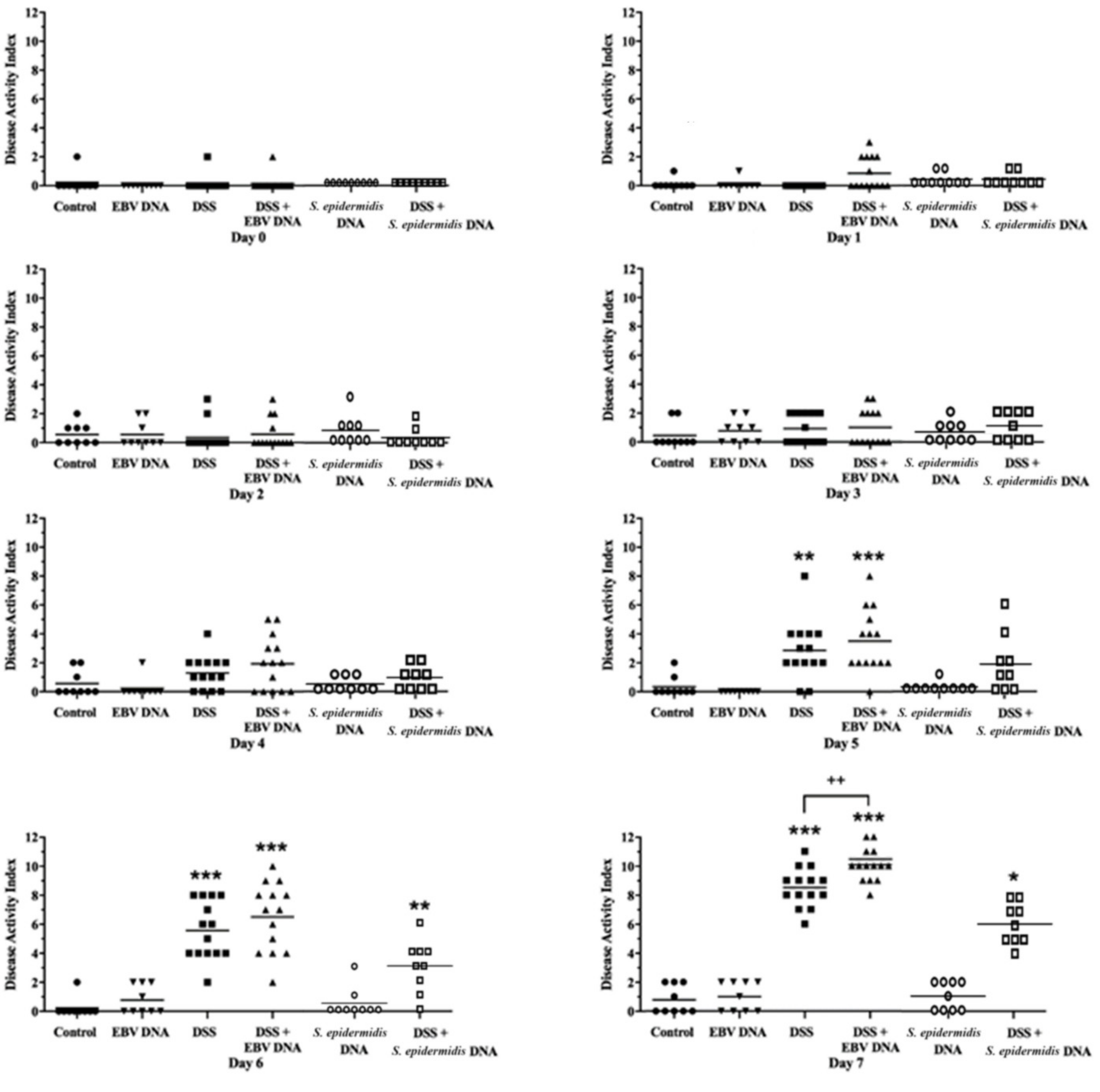 Viruses 13 01272 g004