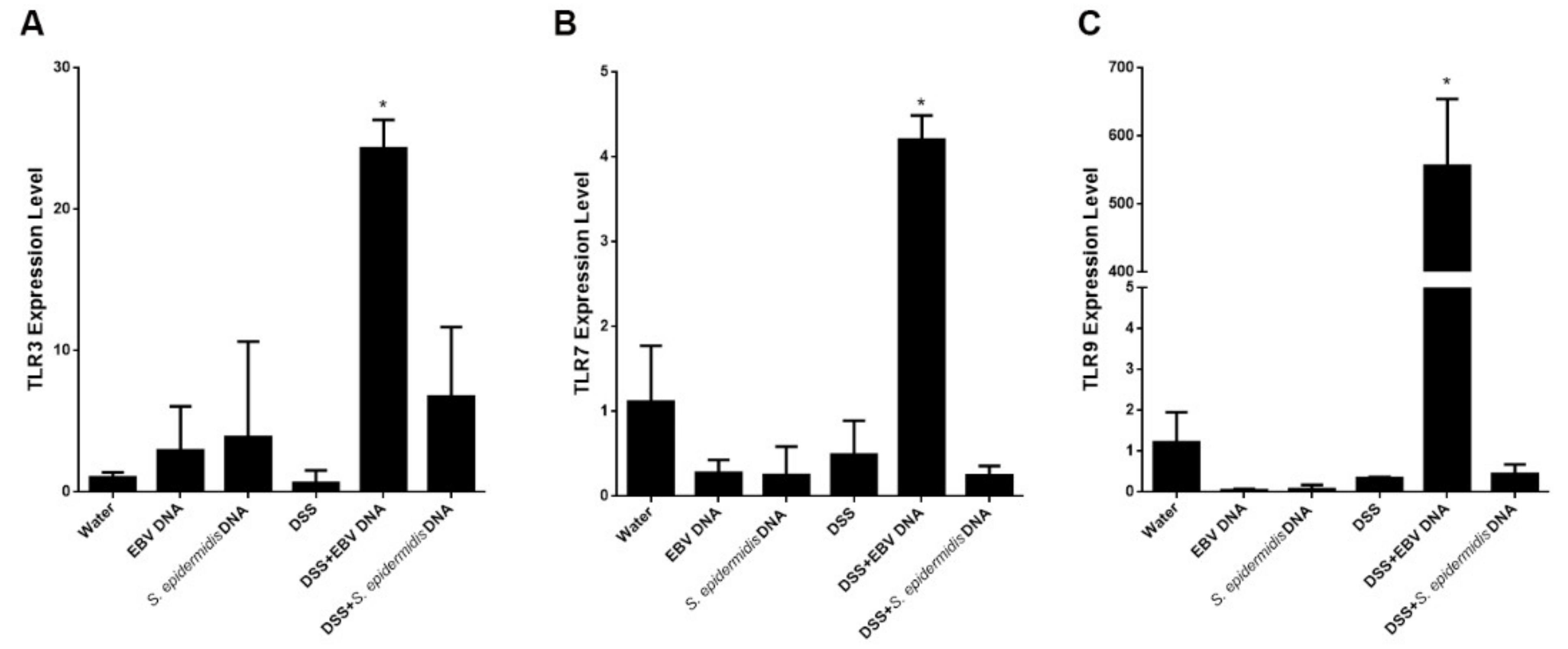 Viruses 13 01272 g007